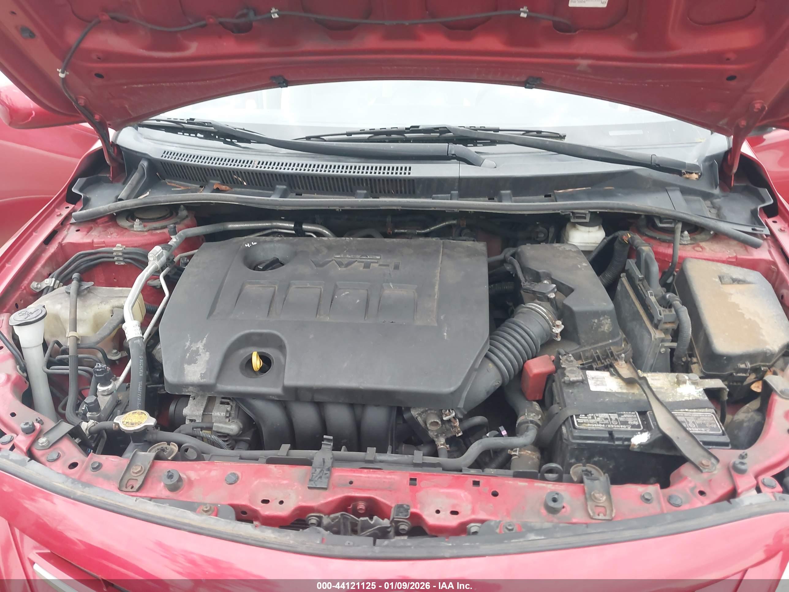 TOYOTA COROLLA image 10