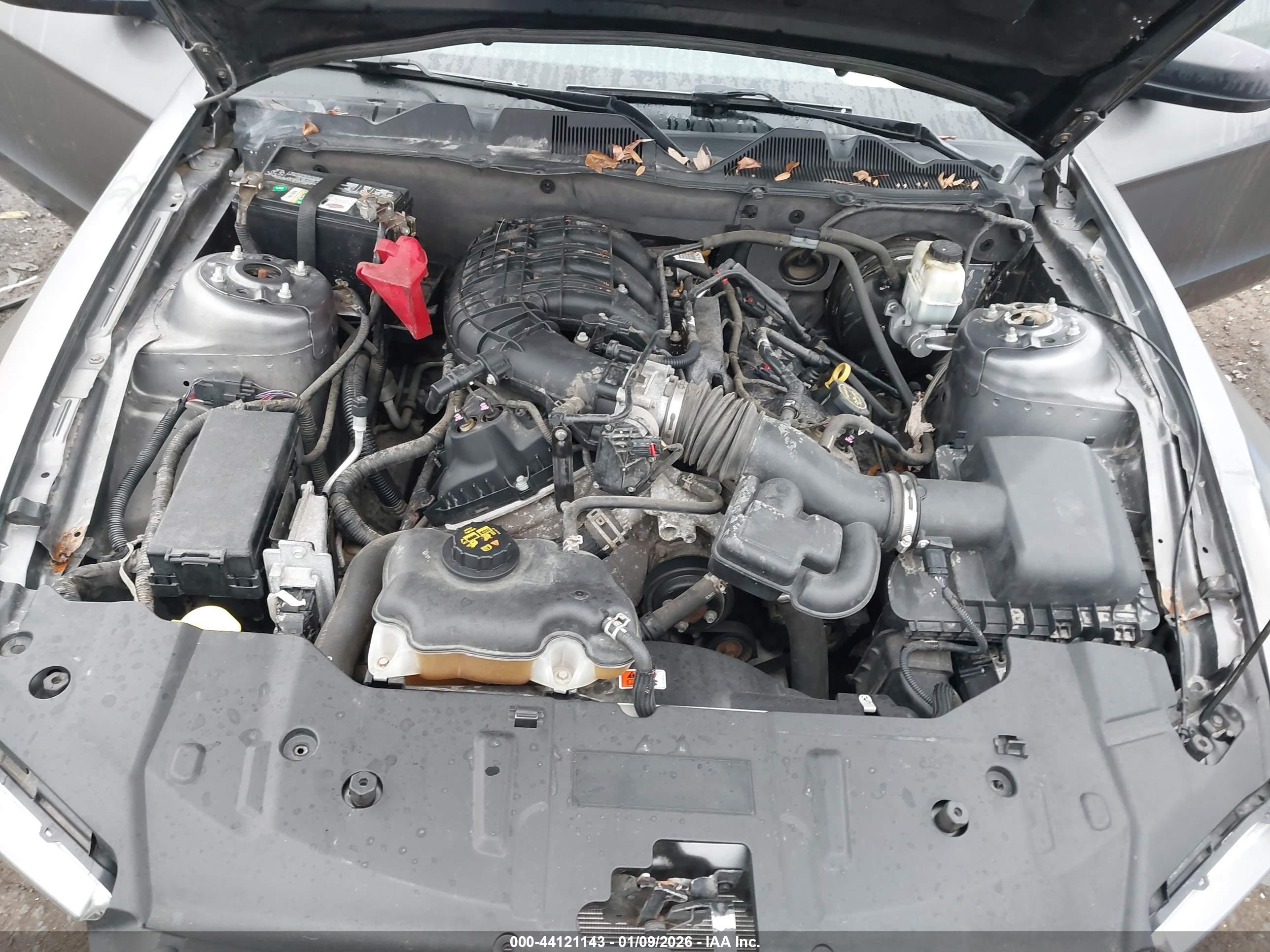 FORD MUSTANG image 10