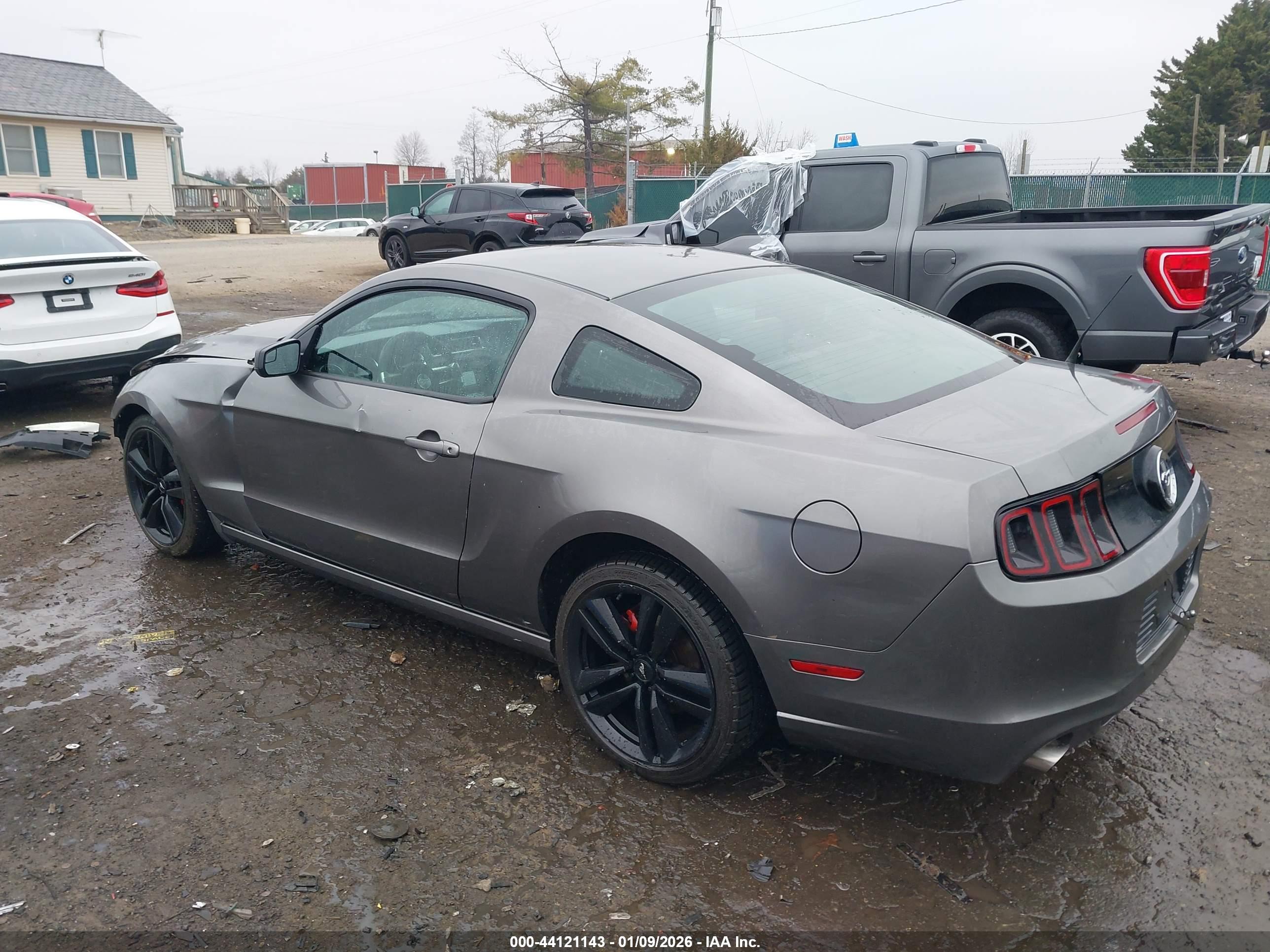 FORD MUSTANG image 3