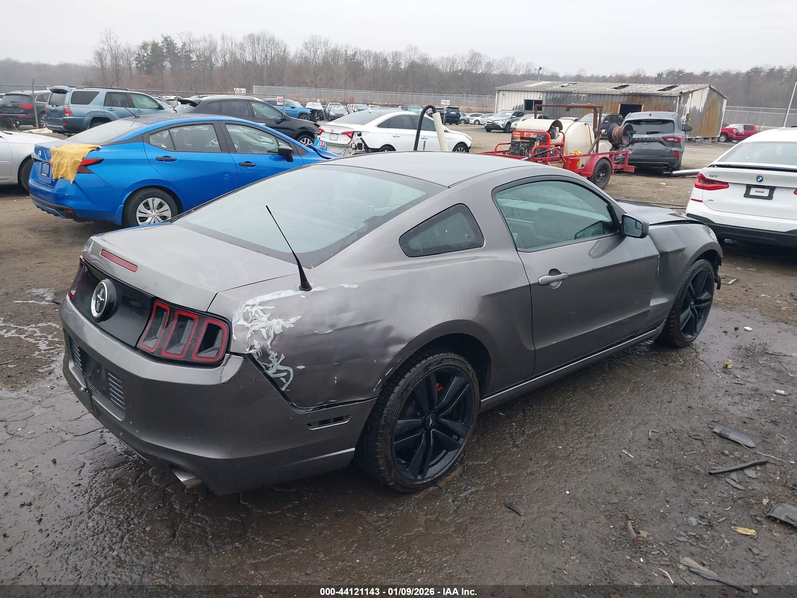 FORD MUSTANG image 4