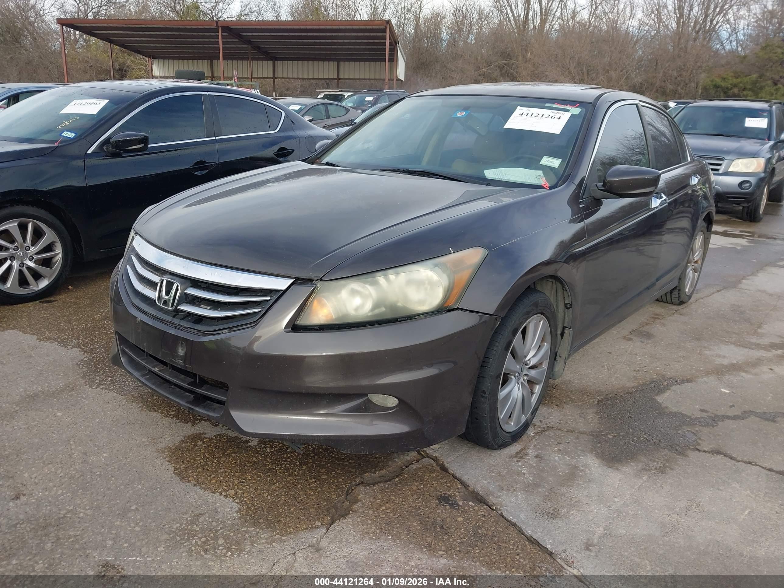HONDA ACCORD image 2