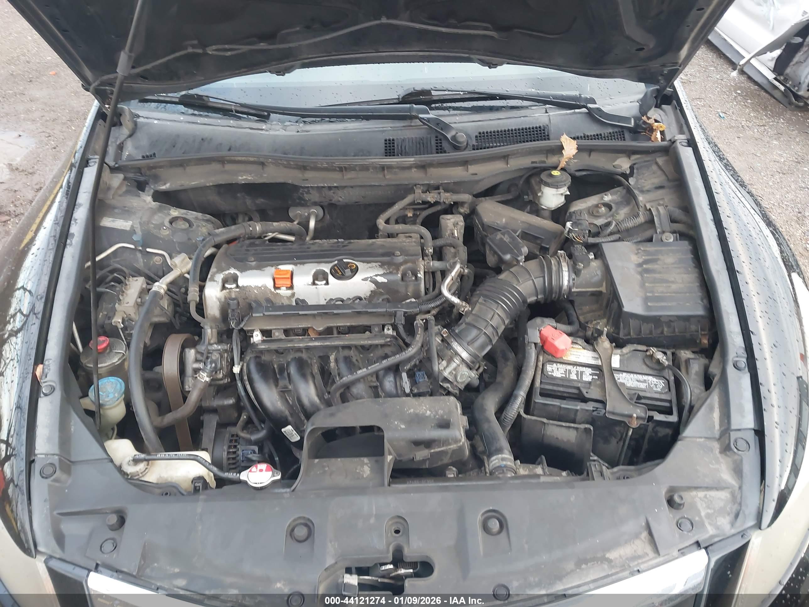 HONDA ACCORD image 10
