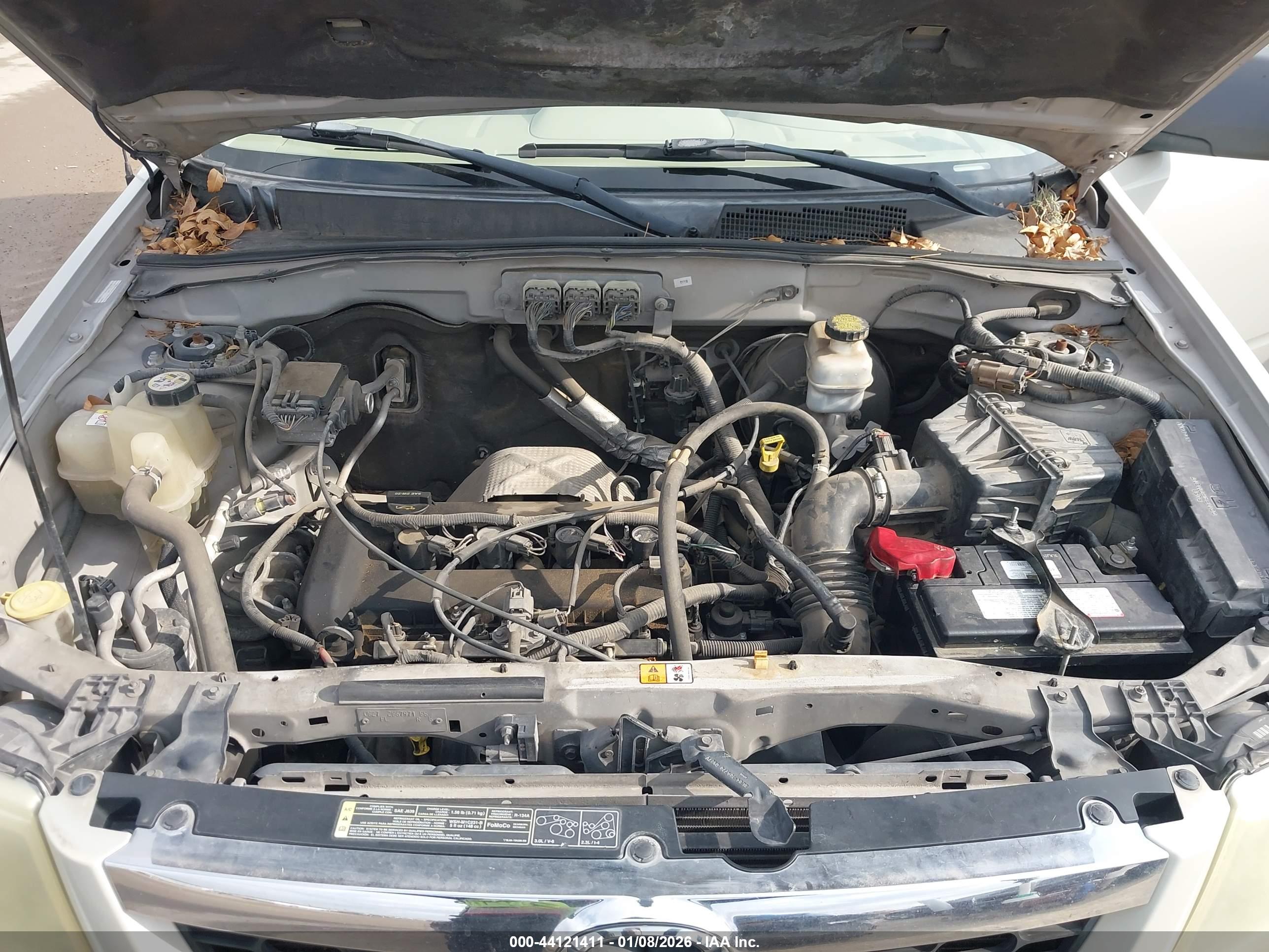 MAZDA TRIBUTE image 10