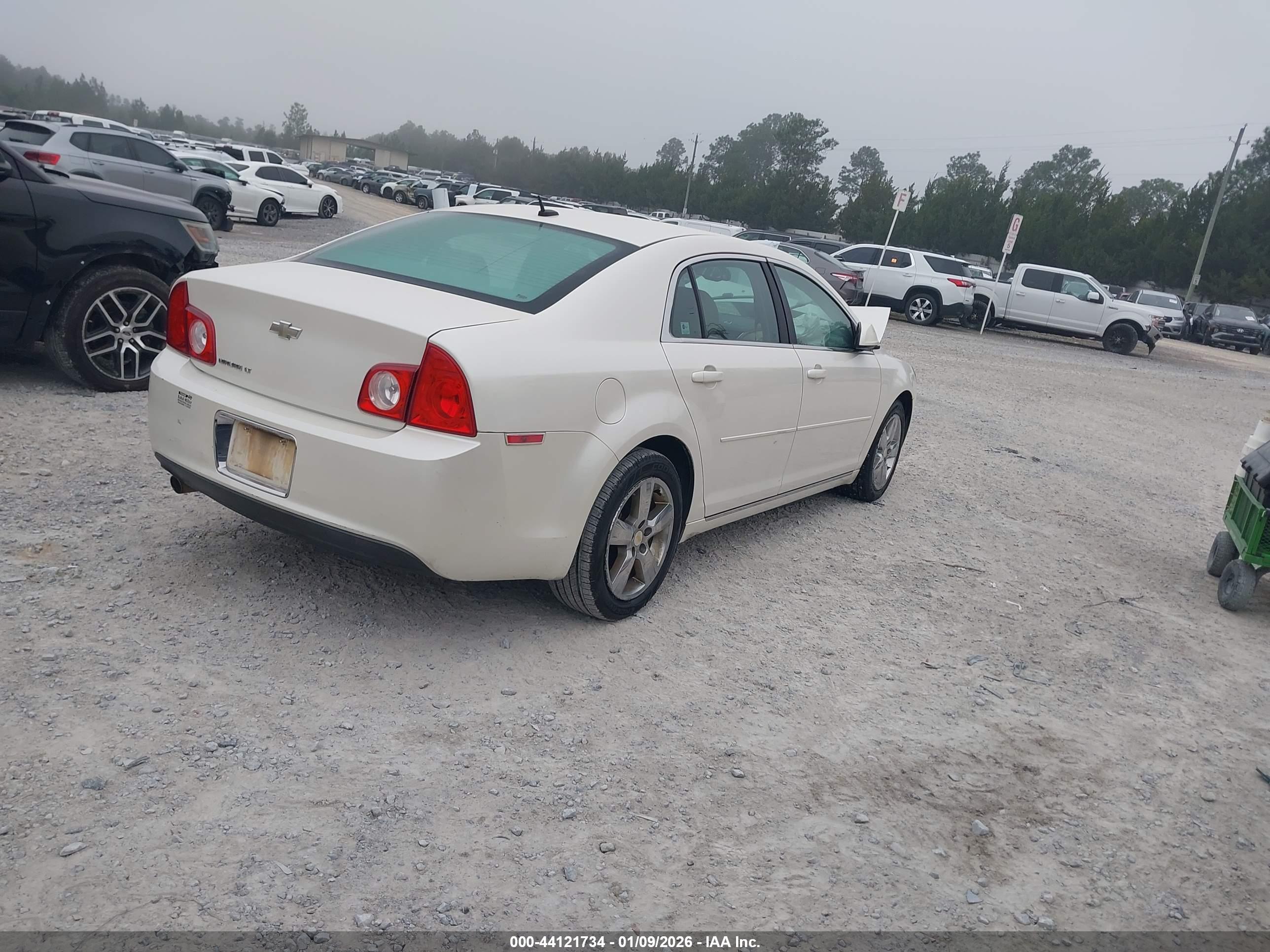 CHEVROLET MALIBU image 4