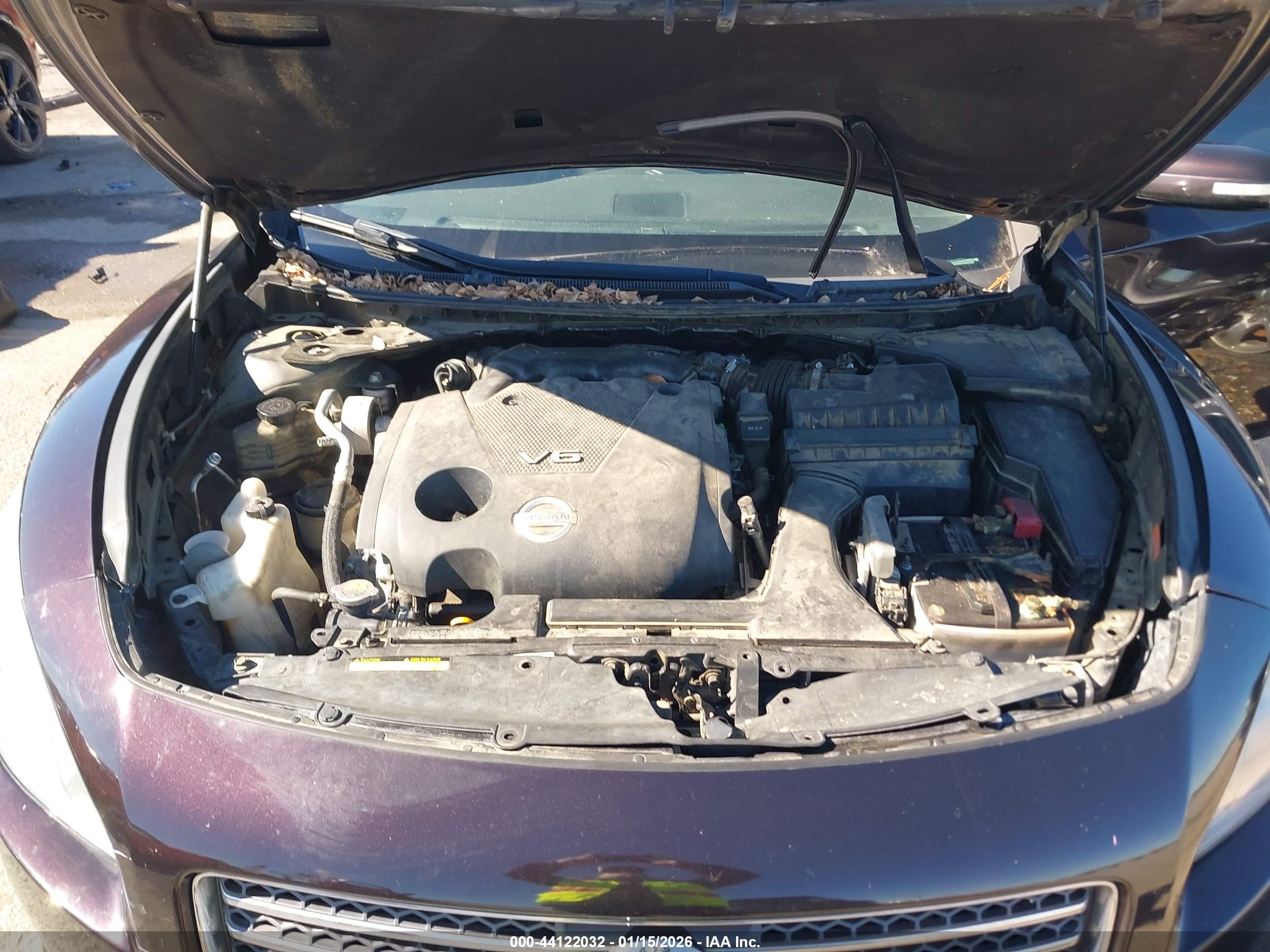NISSAN MAXIMA image 10