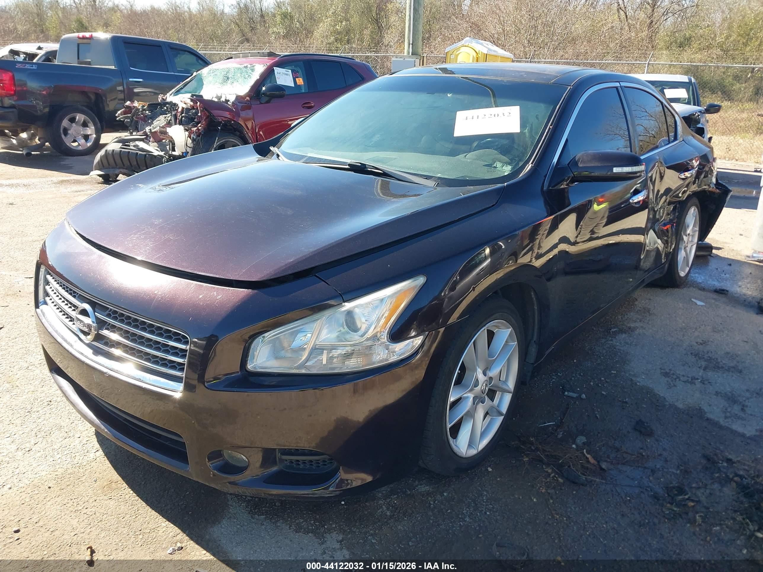 NISSAN MAXIMA image 2