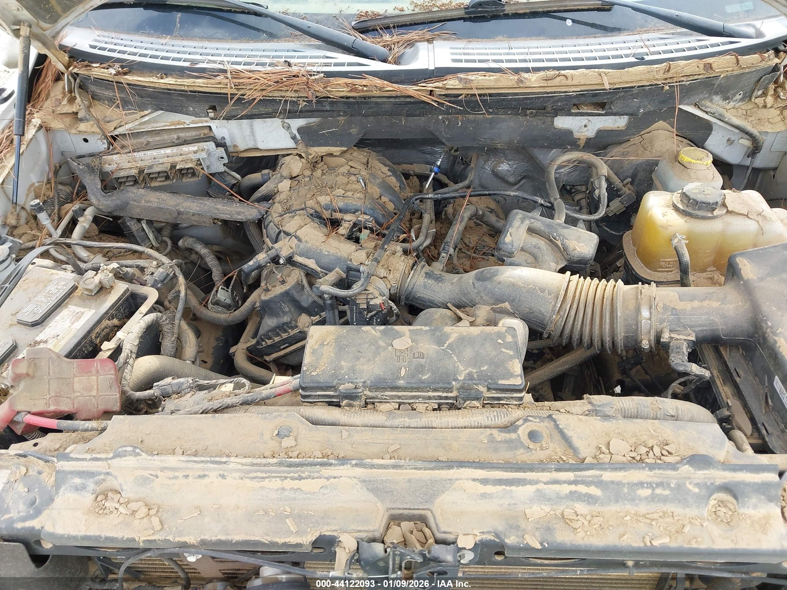 FORD F-150 image 10
