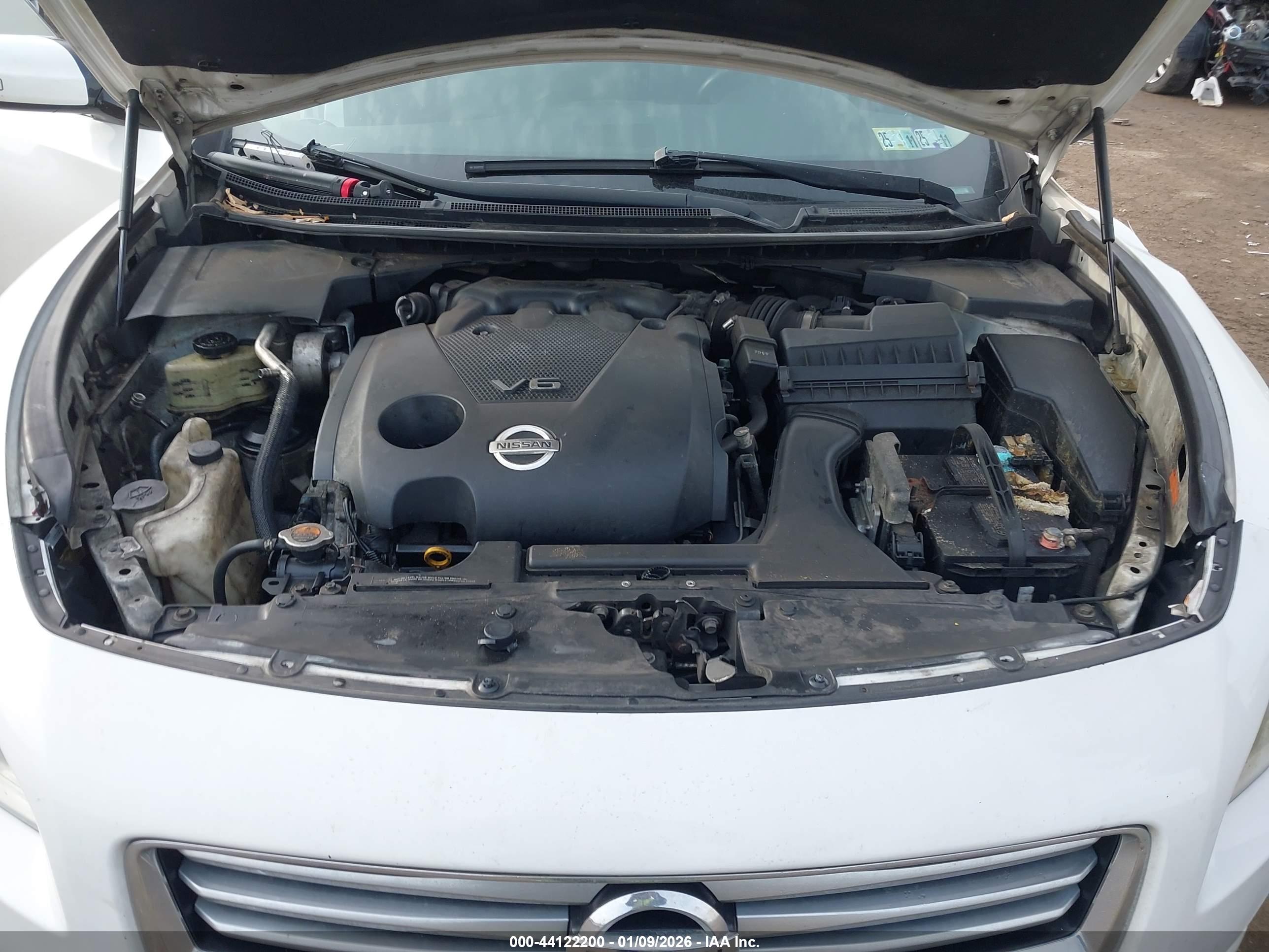 NISSAN MAXIMA image 10