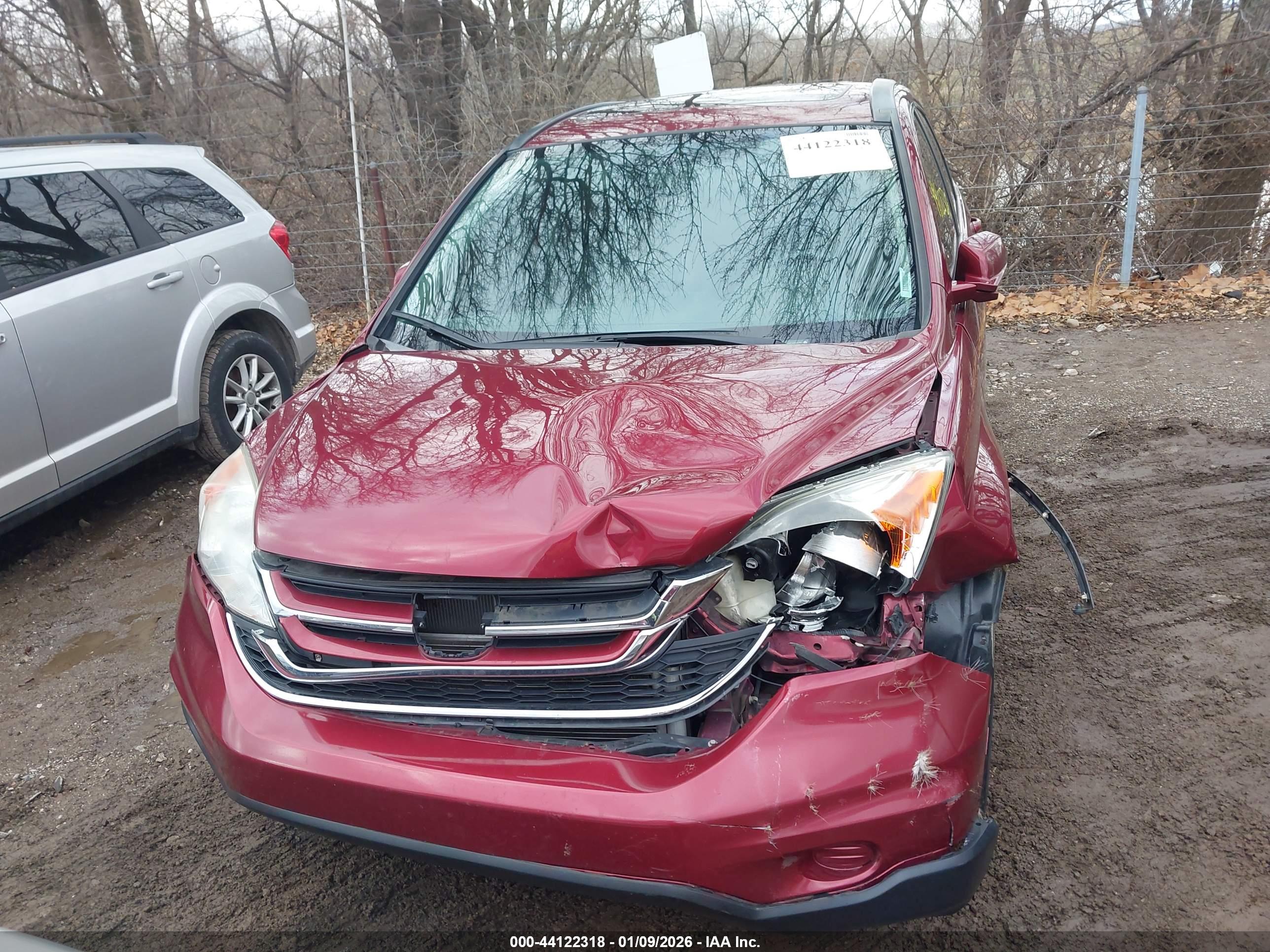HONDA CR-V image 6