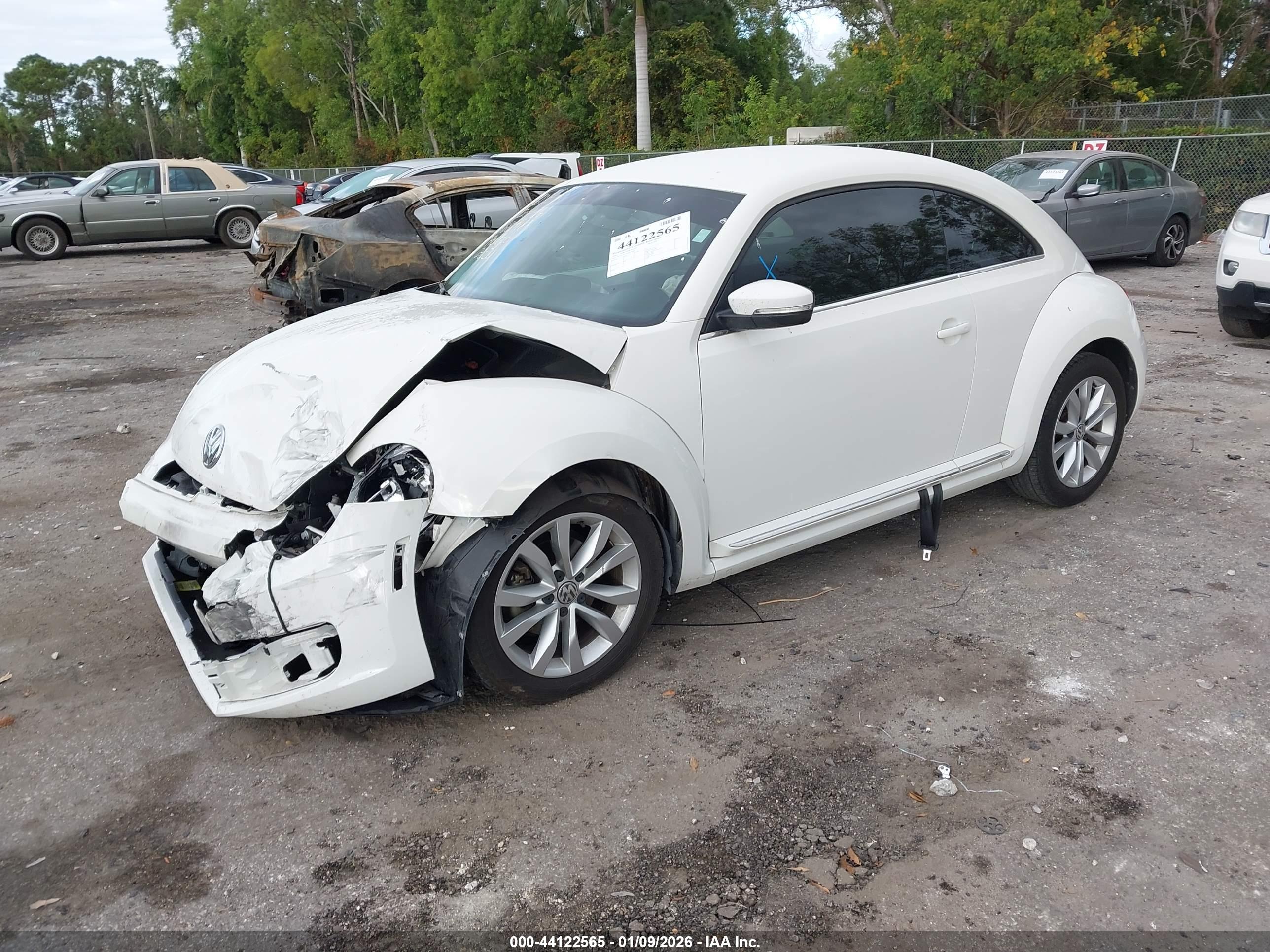 VOLKSWAGEN BEETLE image 2
