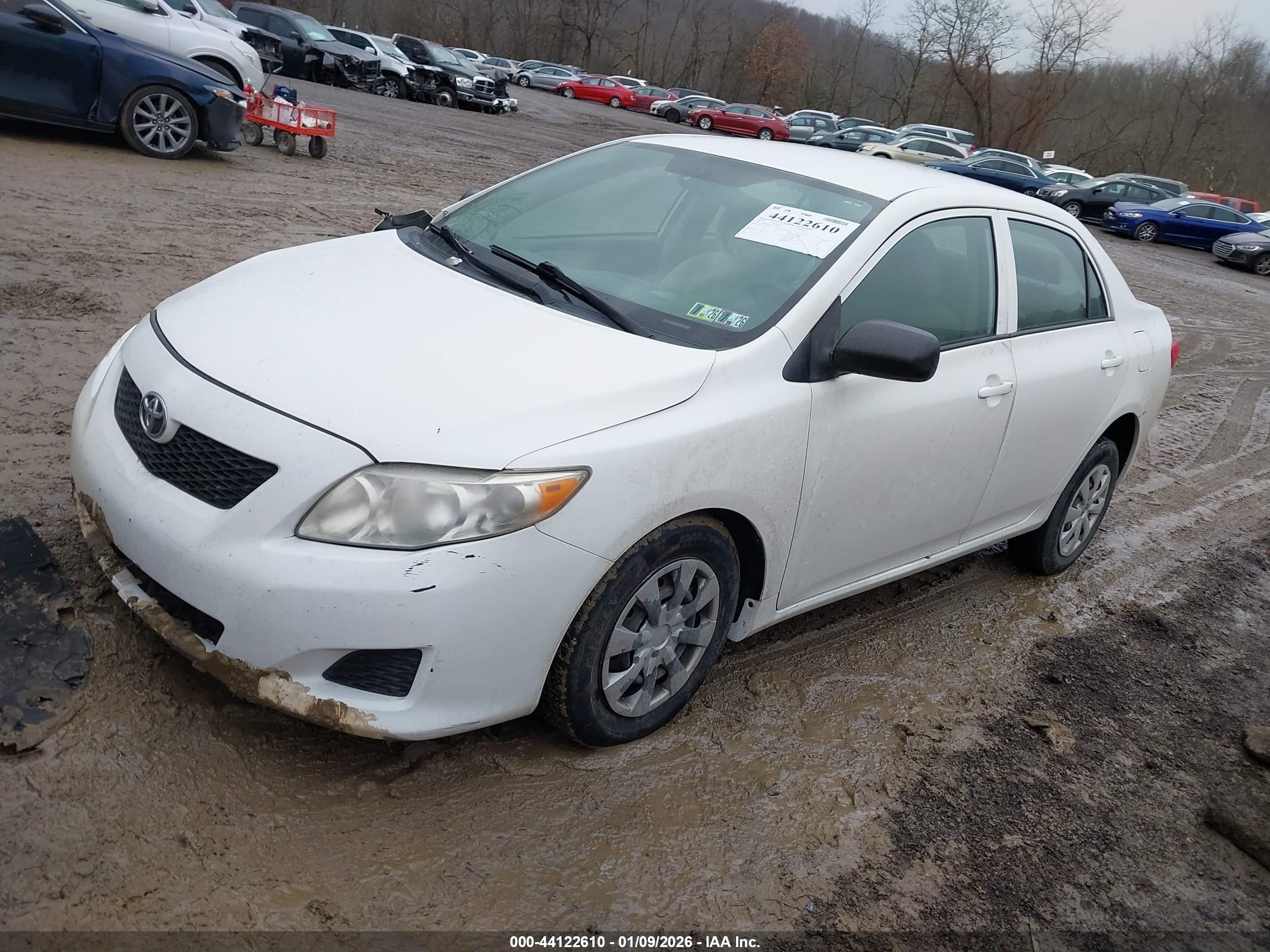 TOYOTA COROLLA image 2