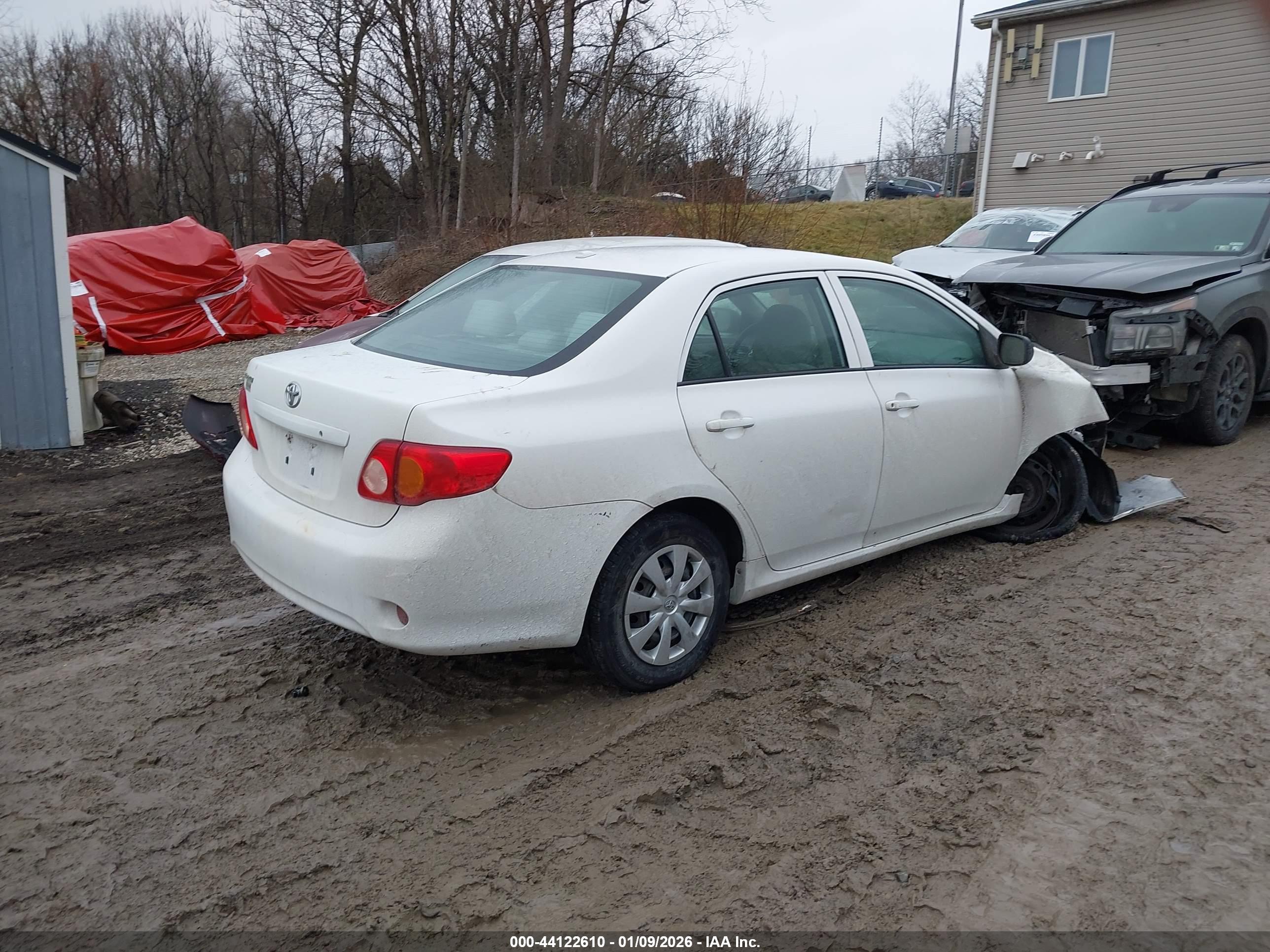 TOYOTA COROLLA image 4