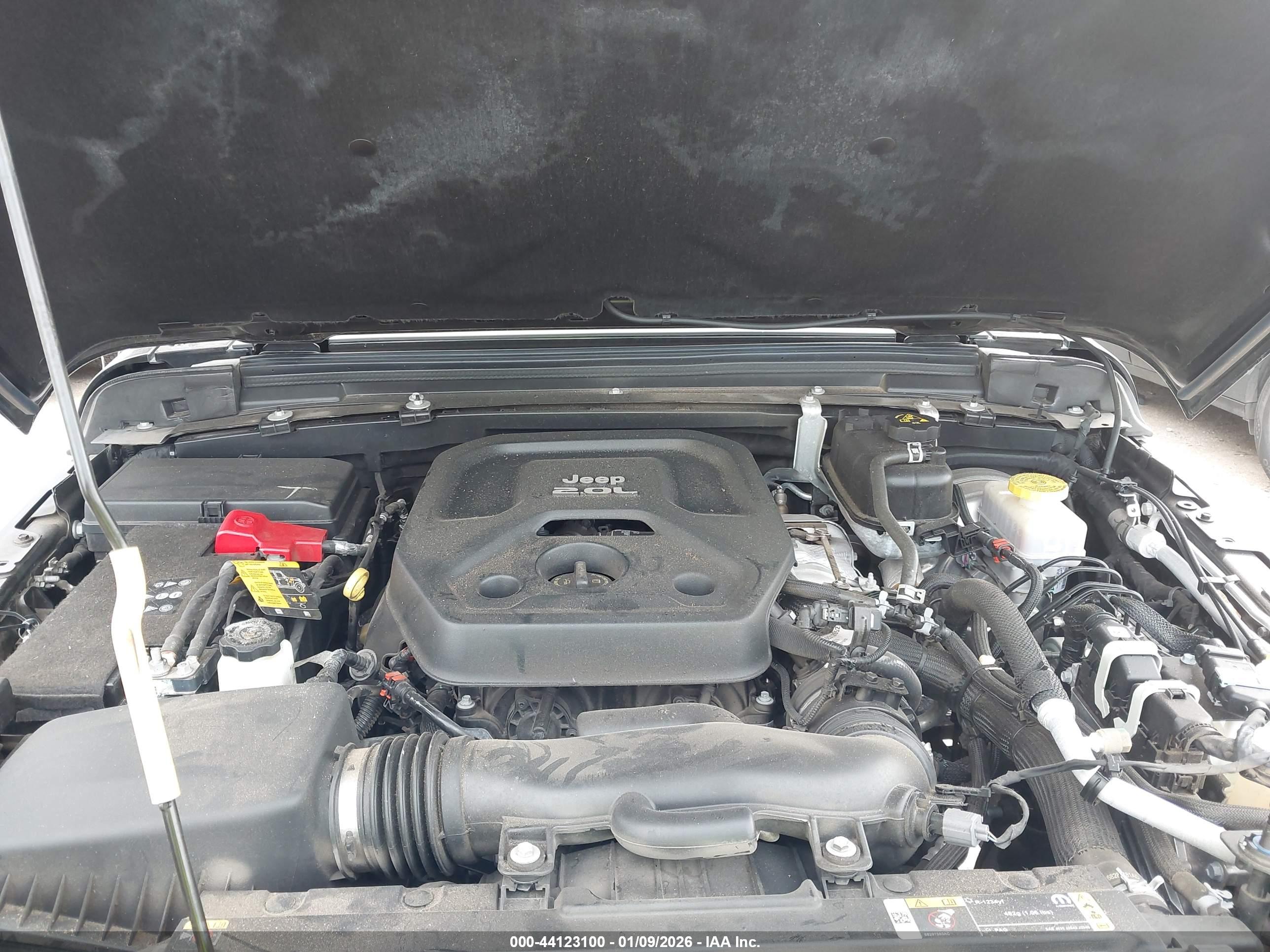 JEEP WRANGLER image 10
