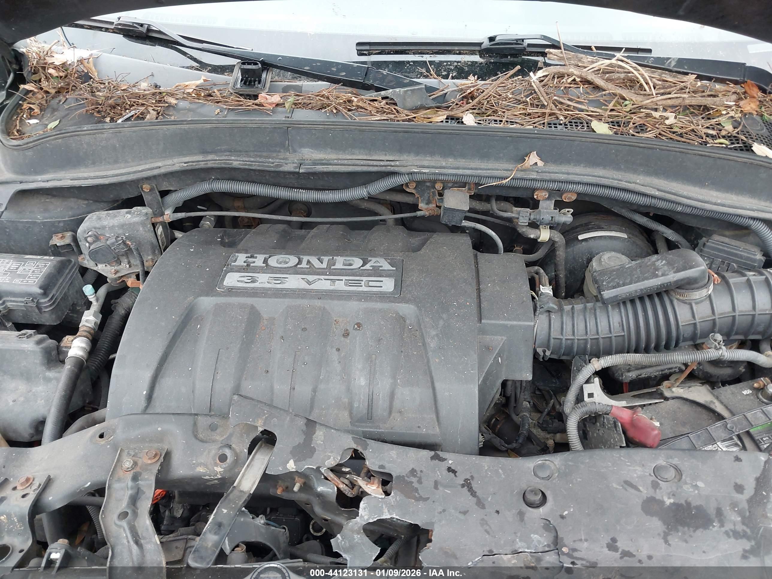 HONDA PILOT image 10