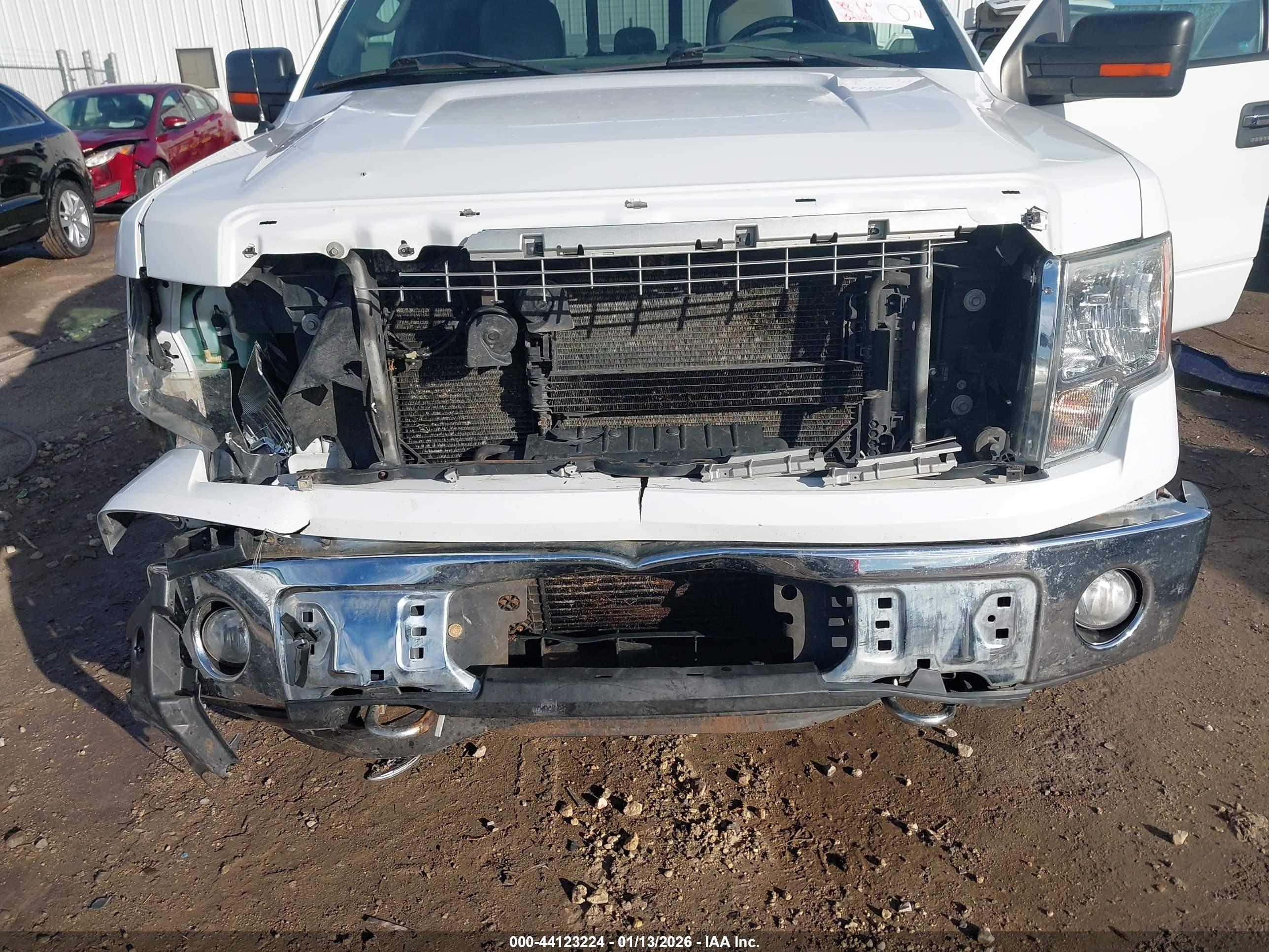 FORD F-150 image 6