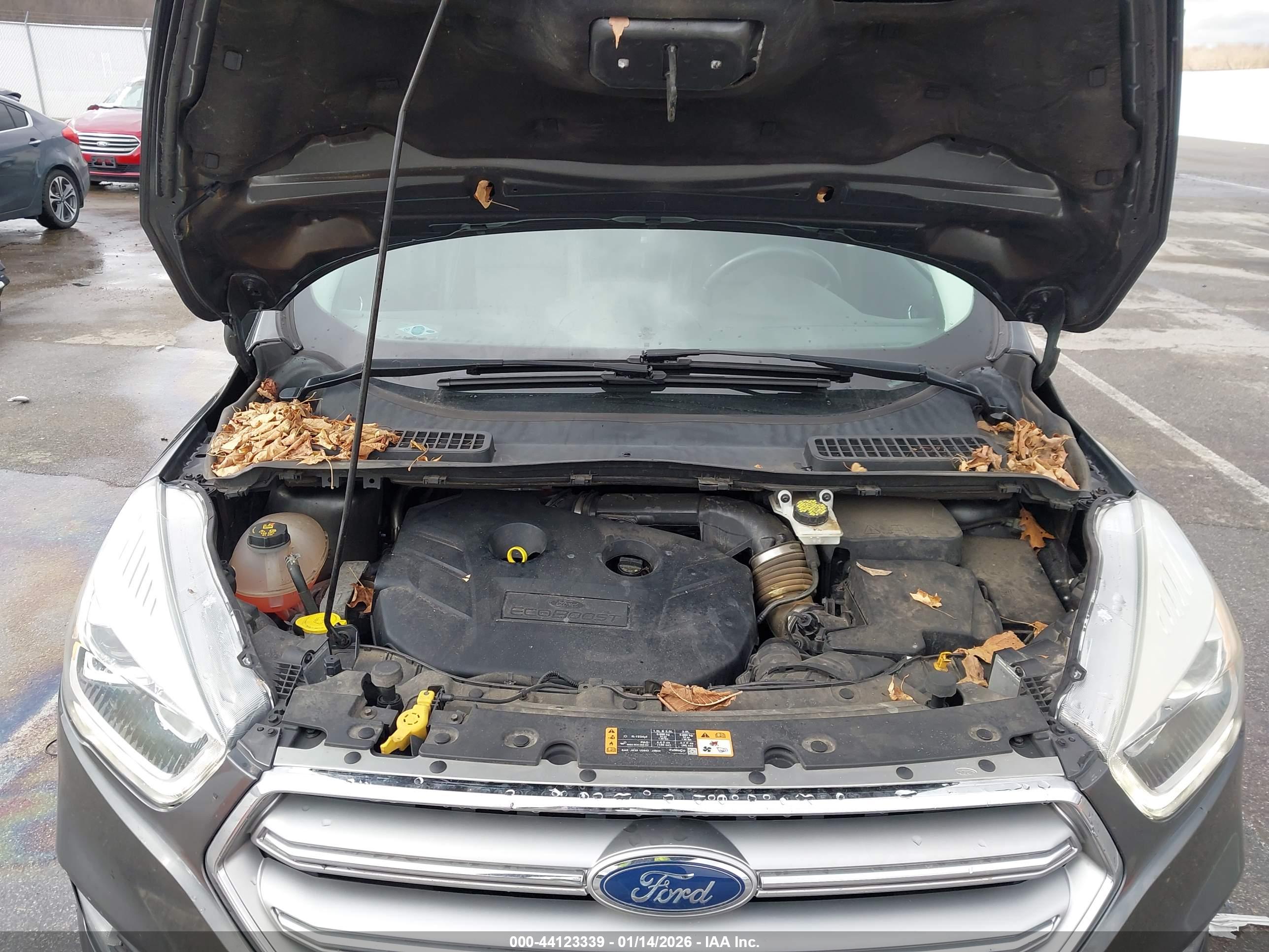 FORD ESCAPE image 10