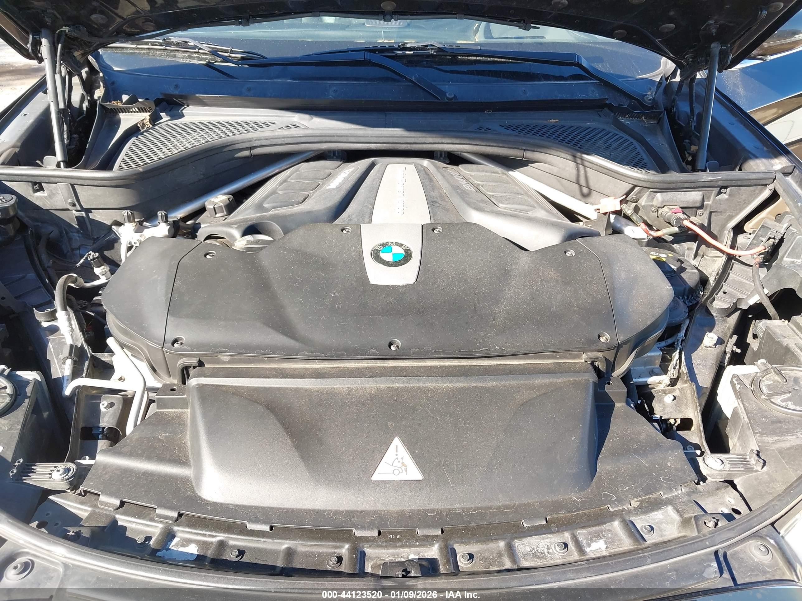 BMW X5 image 10