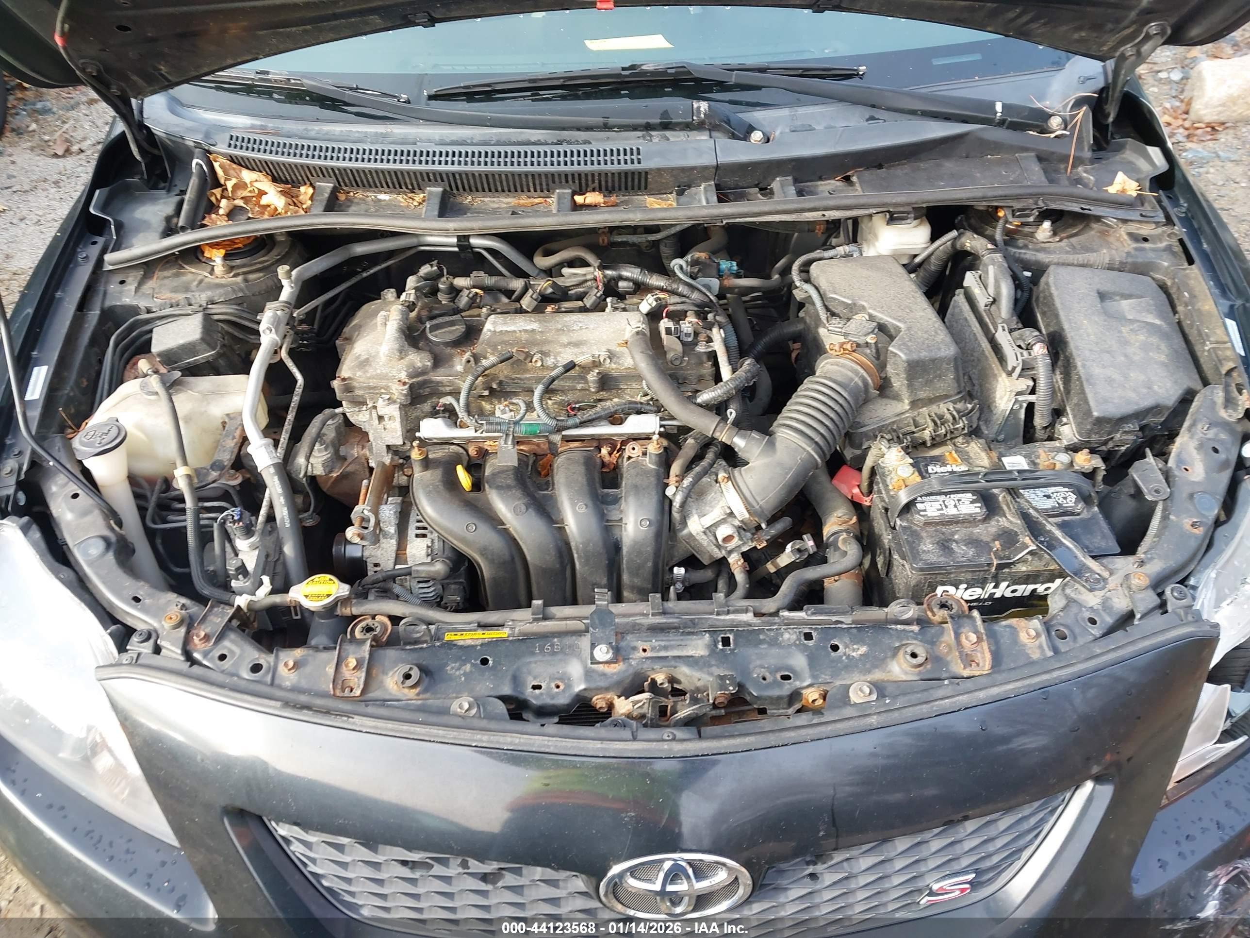 TOYOTA COROLLA image 10