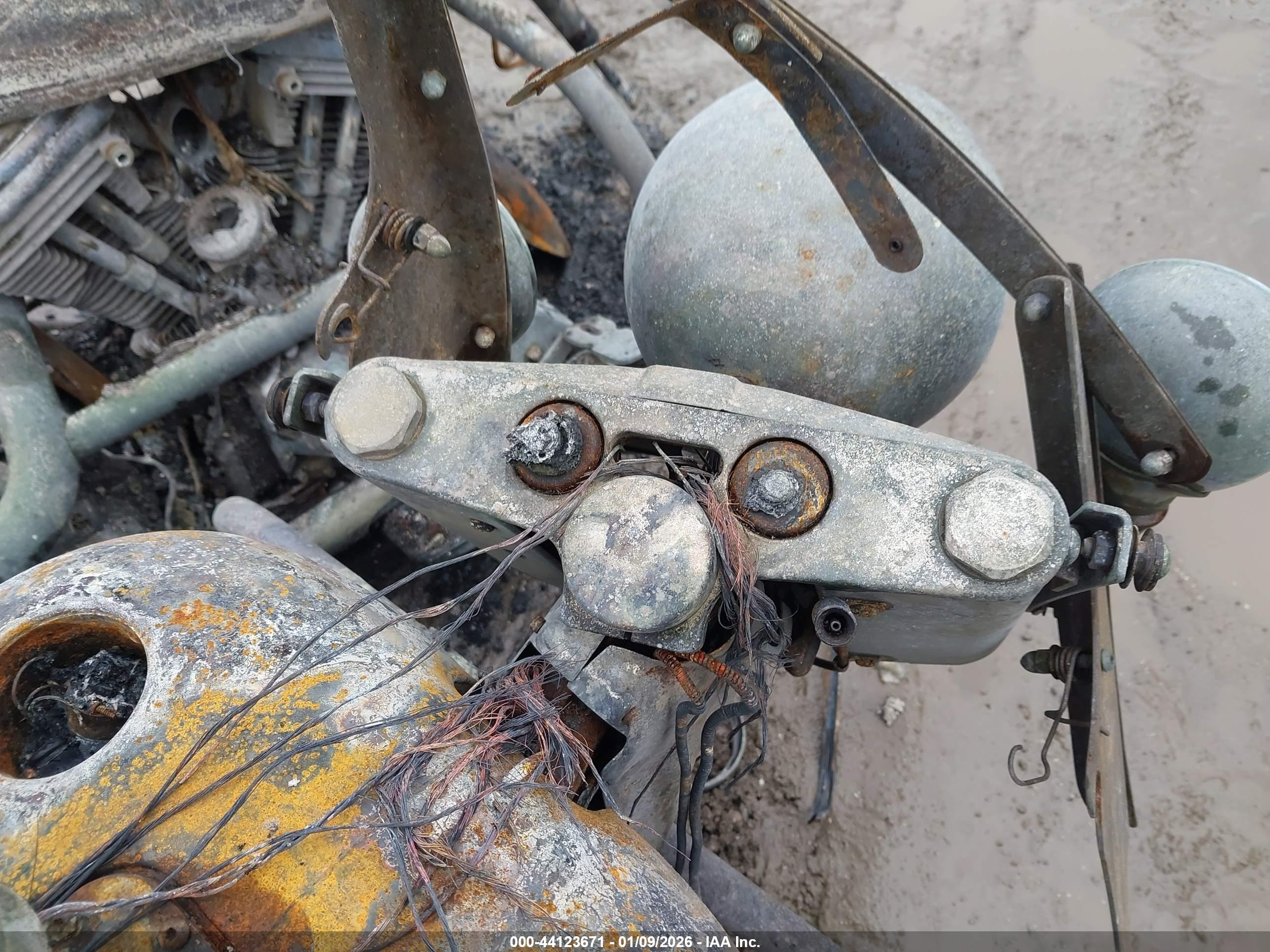 HARLEY-DAVIDSON FLSTFI image 7