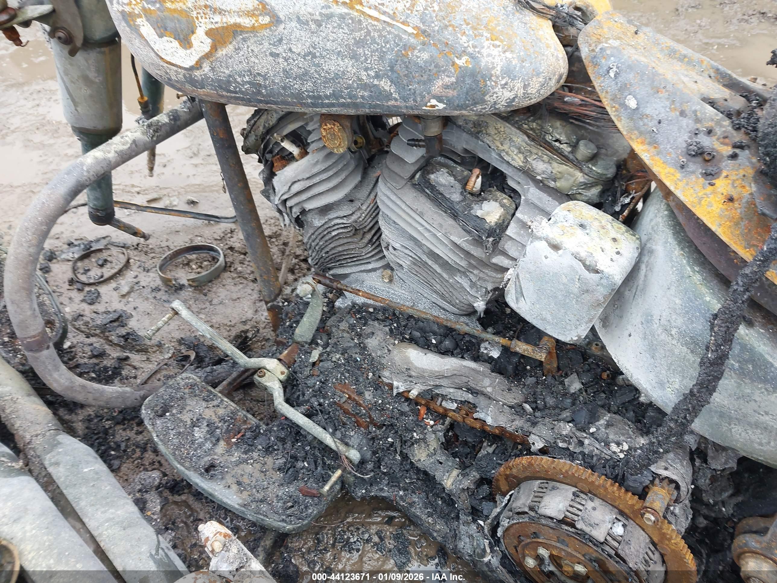 HARLEY-DAVIDSON FLSTFI image 8