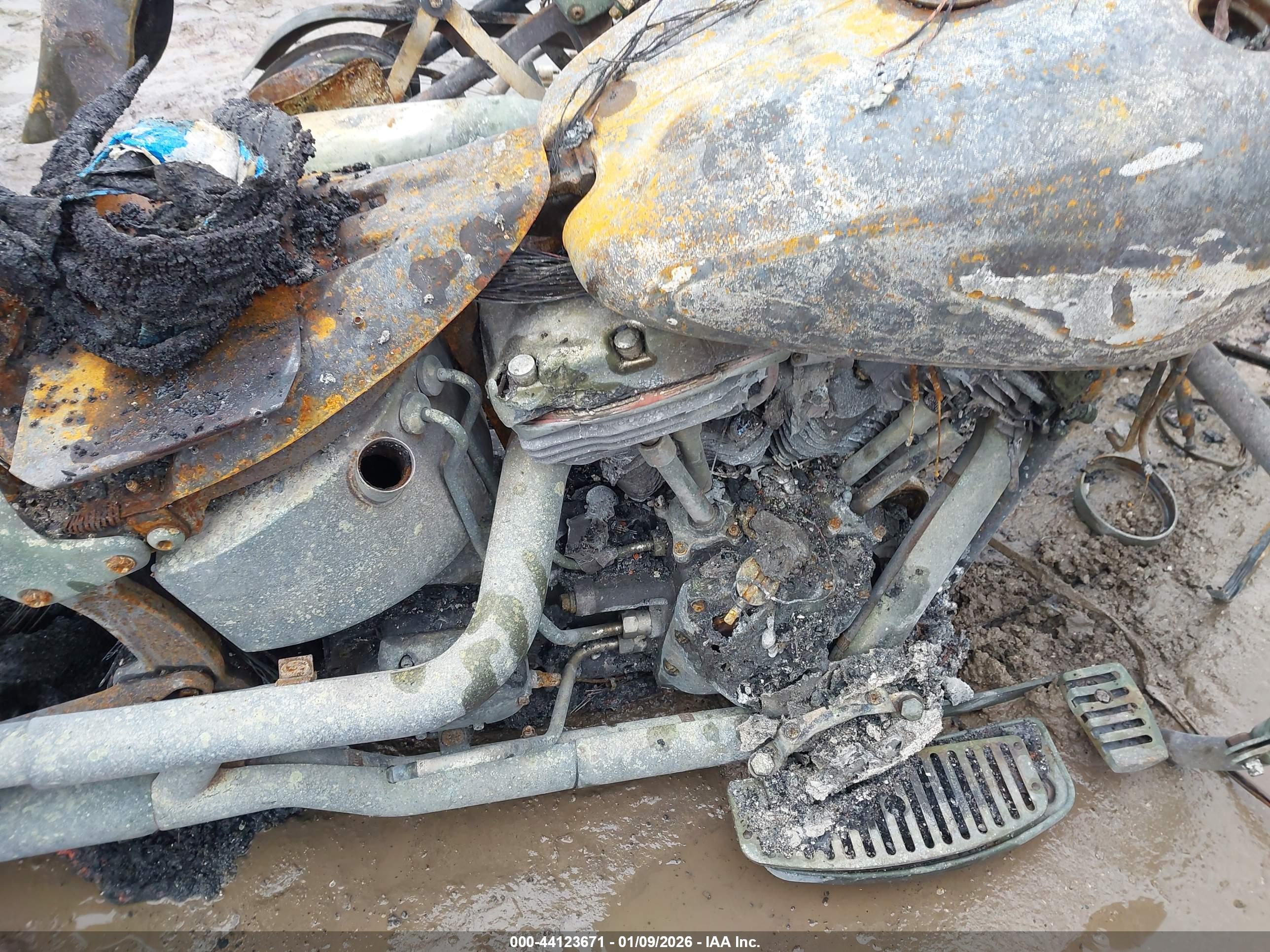 HARLEY-DAVIDSON FLSTFI image 9