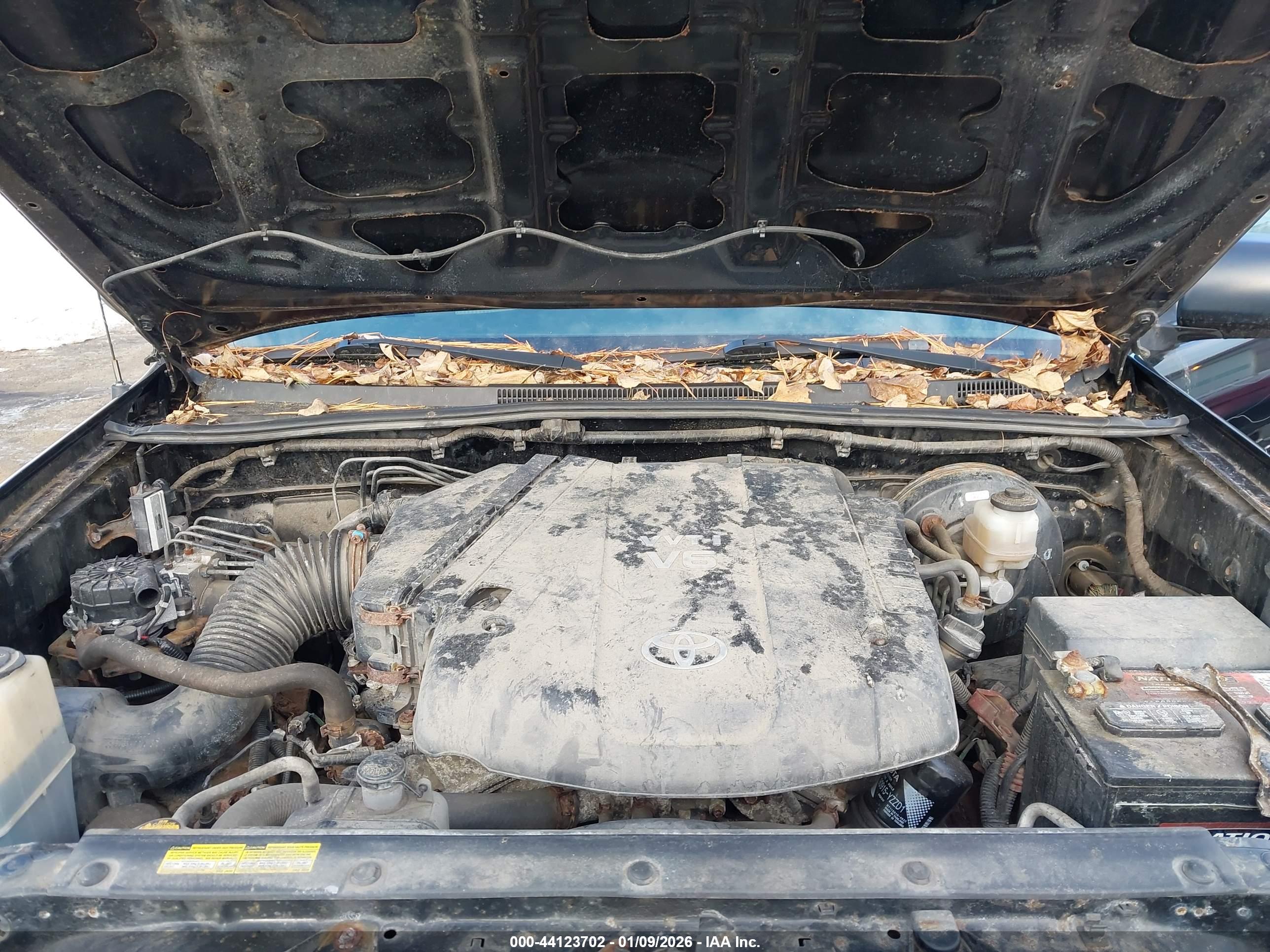 TOYOTA TACOMA image 10