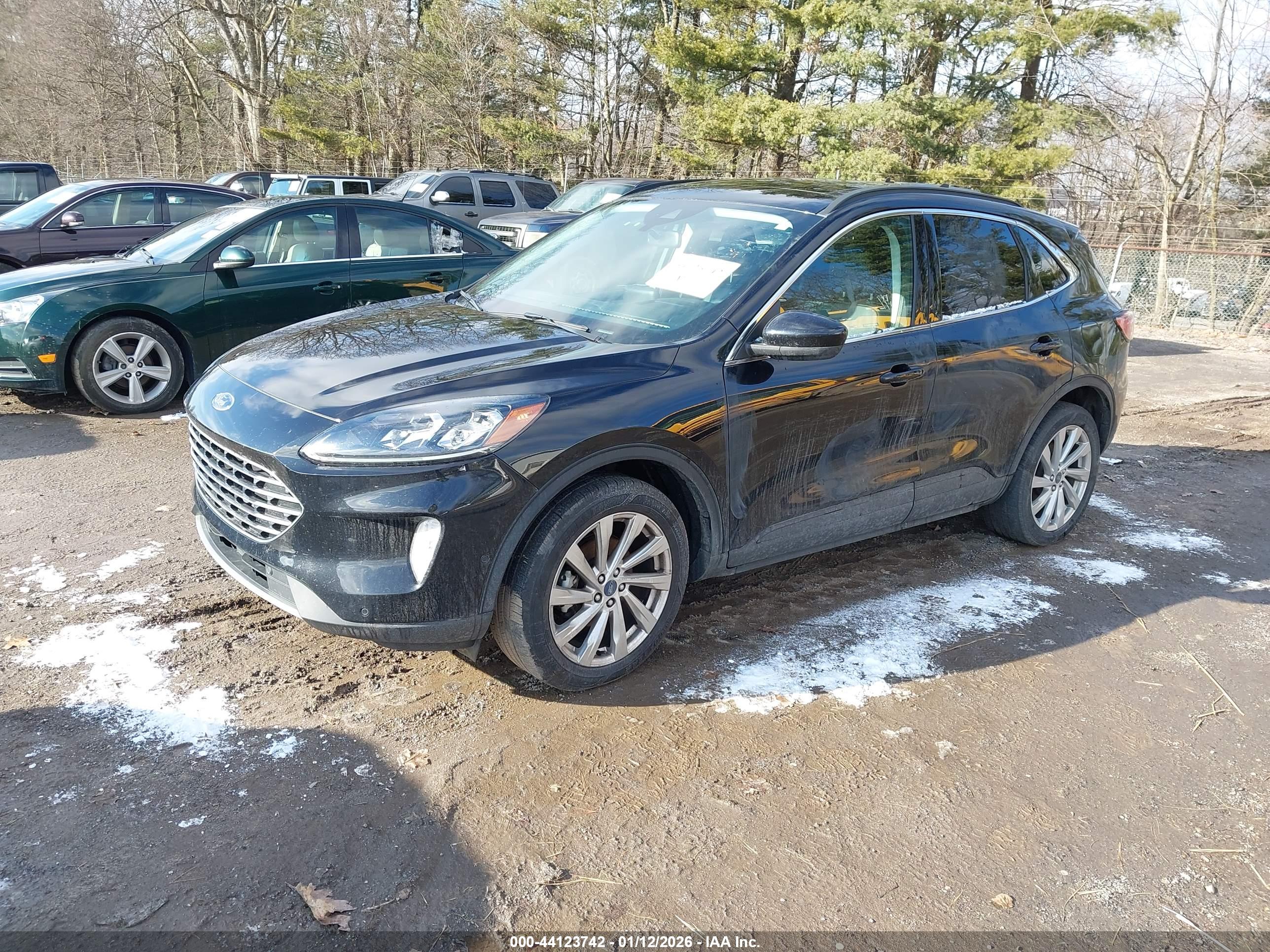 FORD ESCAPE image 2
