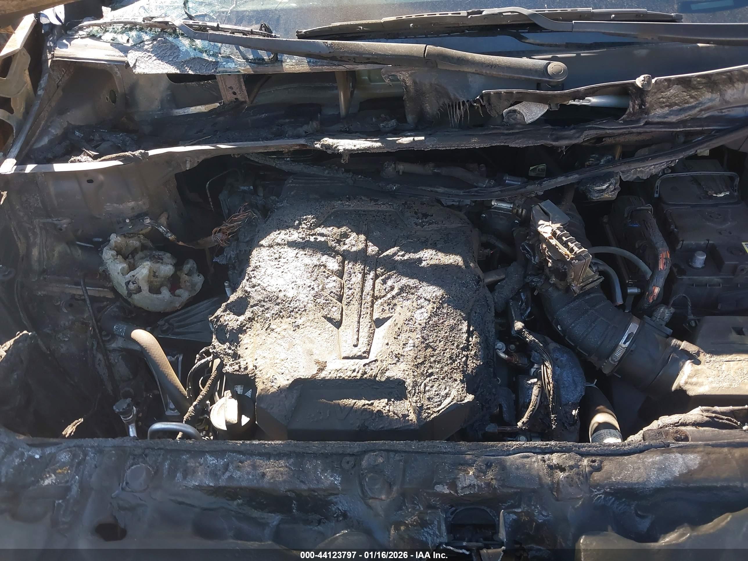KIA CARNIVAL image 10