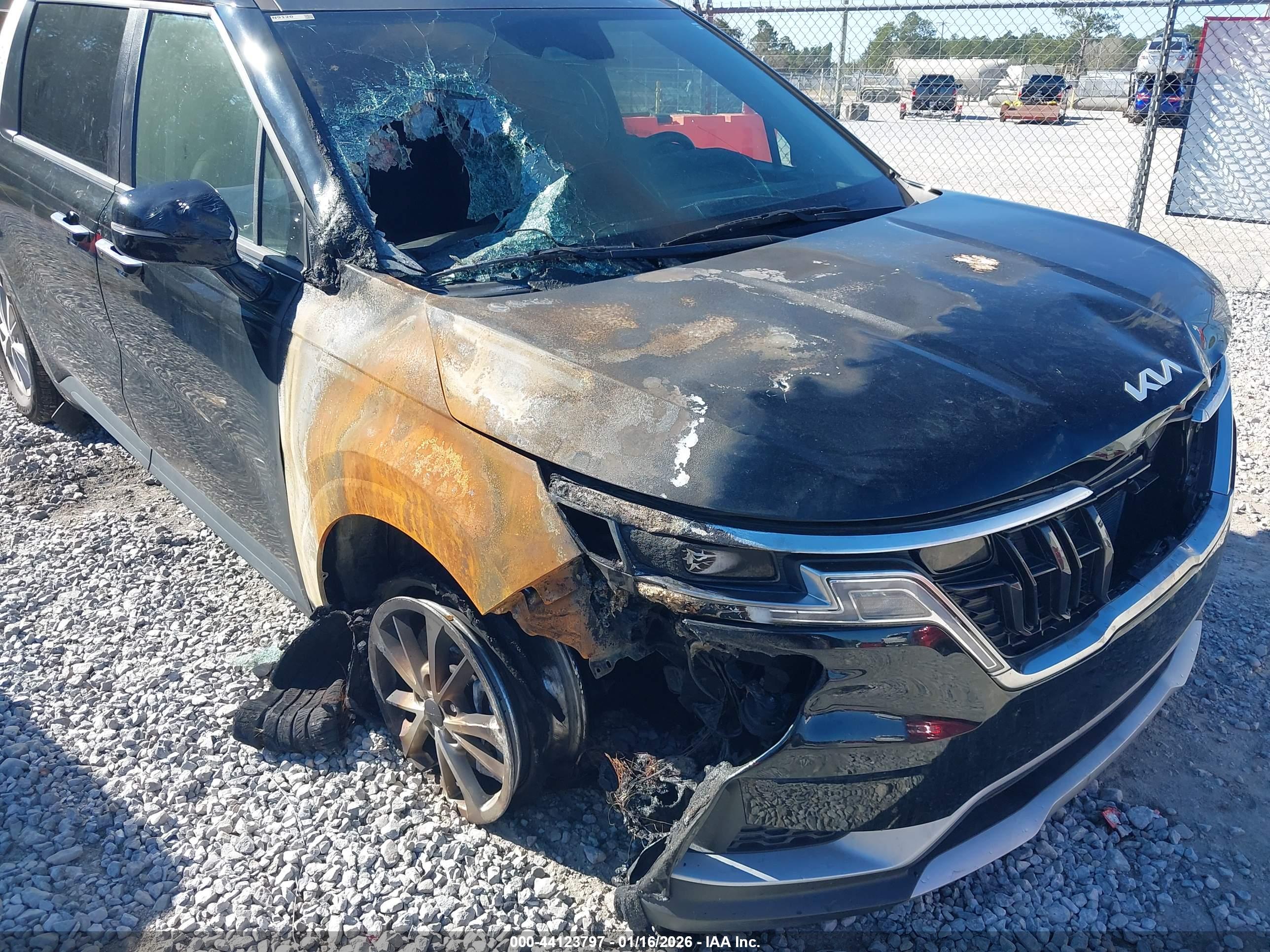 KIA CARNIVAL image 6