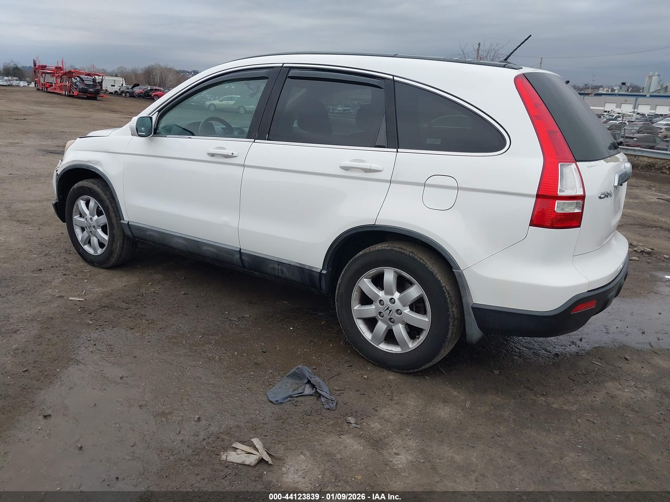 HONDA CR-V image 3