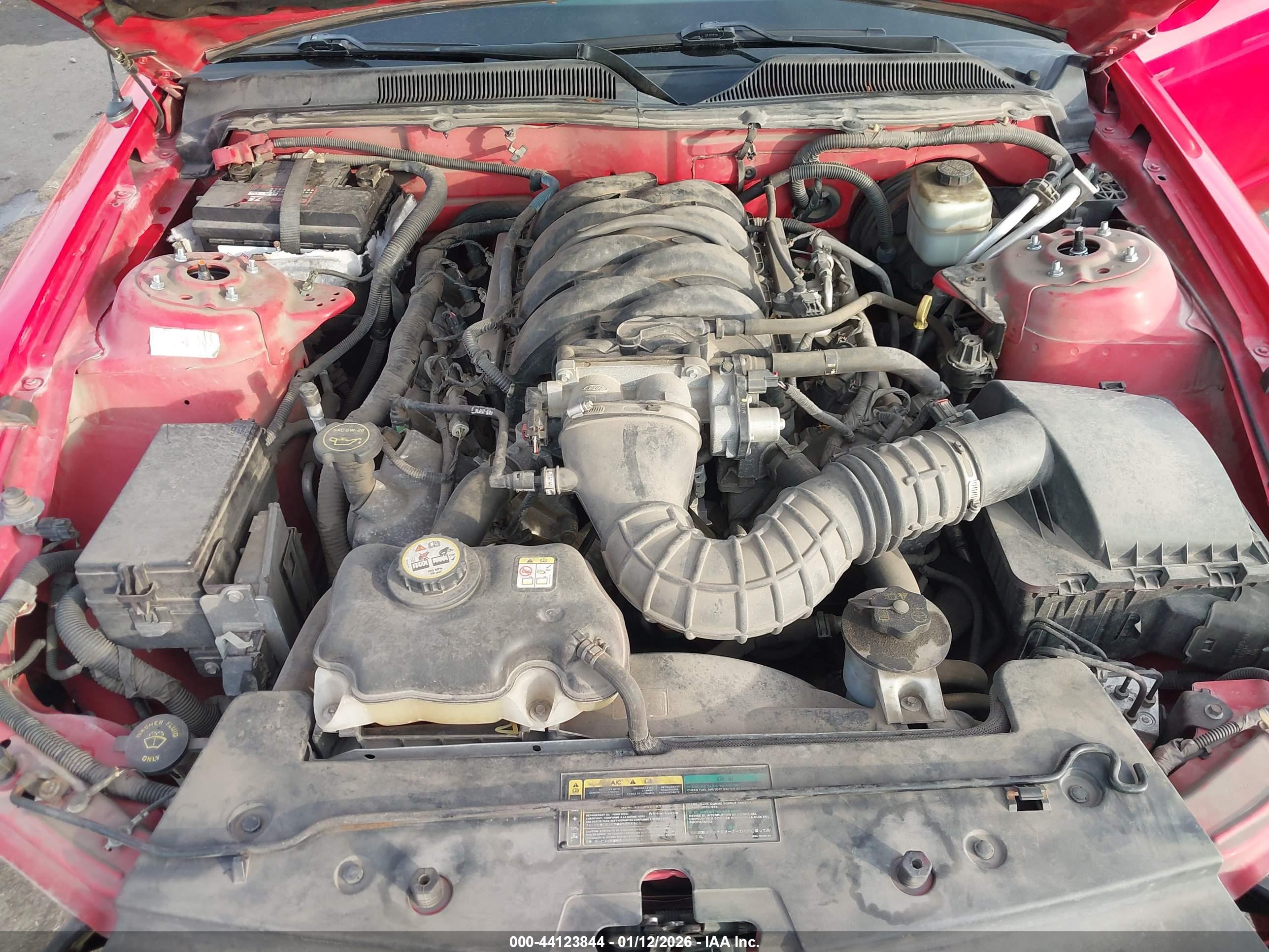 FORD MUSTANG image 10