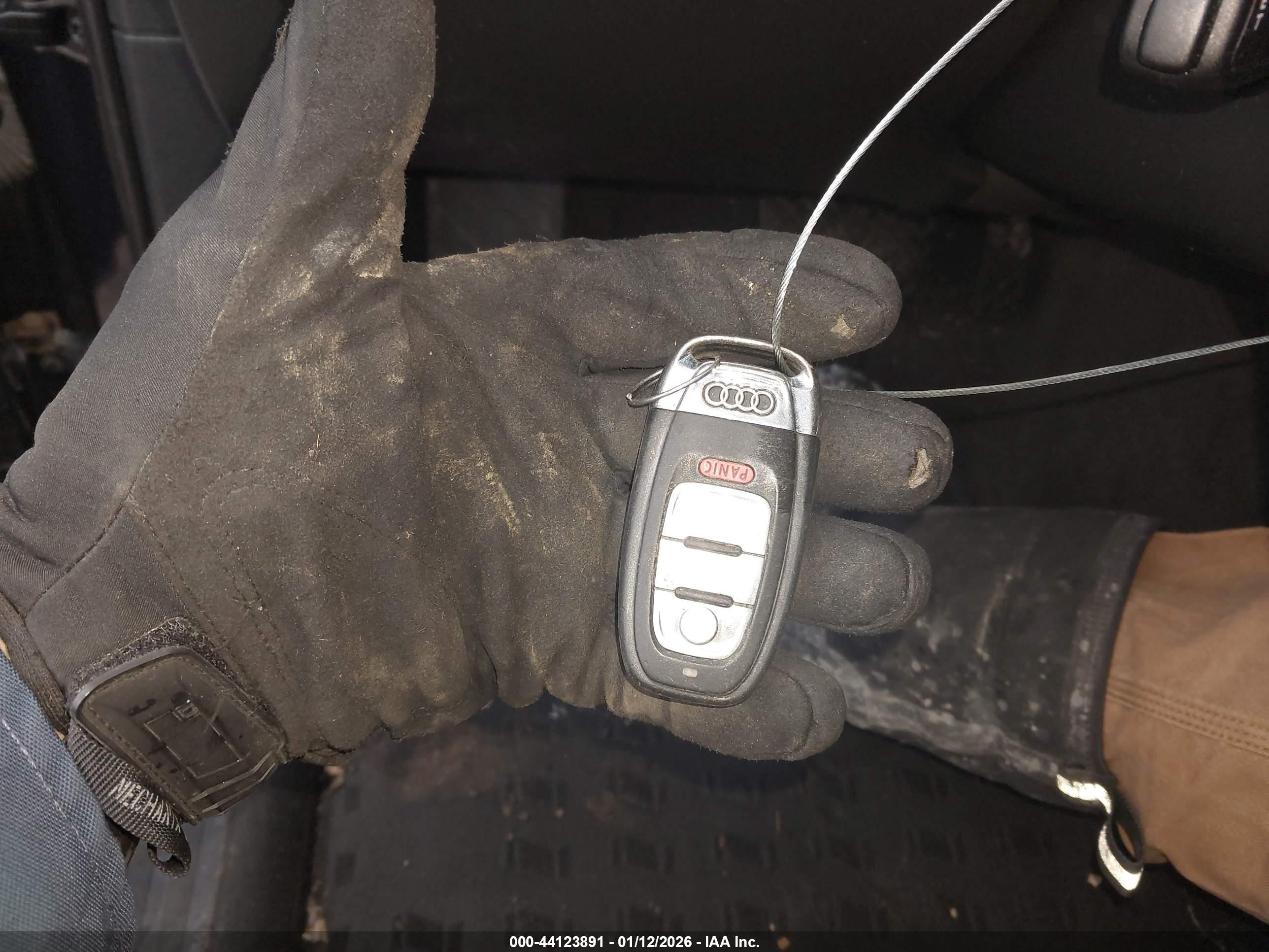 AUDI Q5 image 11