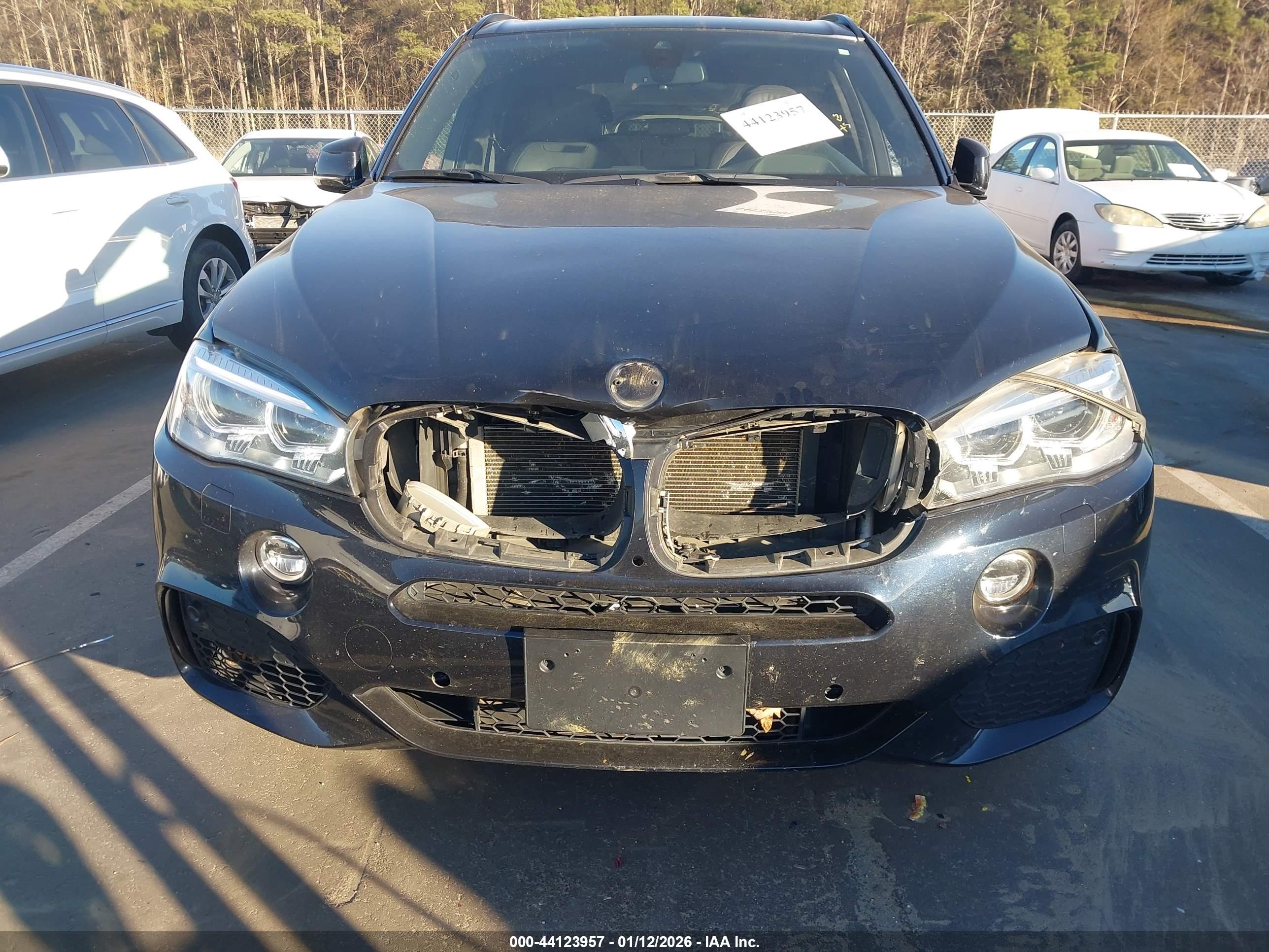 BMW X5 image 6