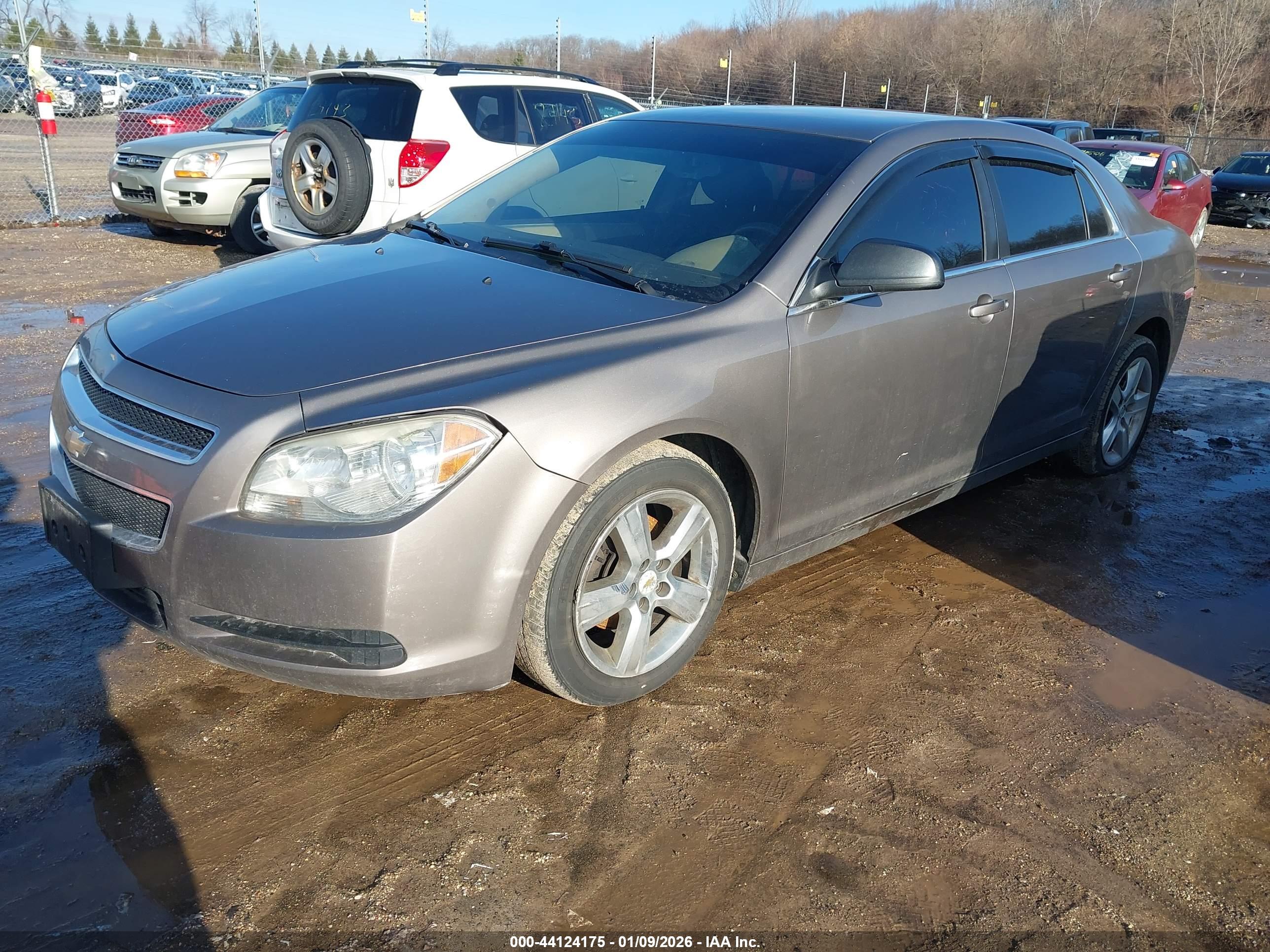 CHEVROLET MALIBU image 2