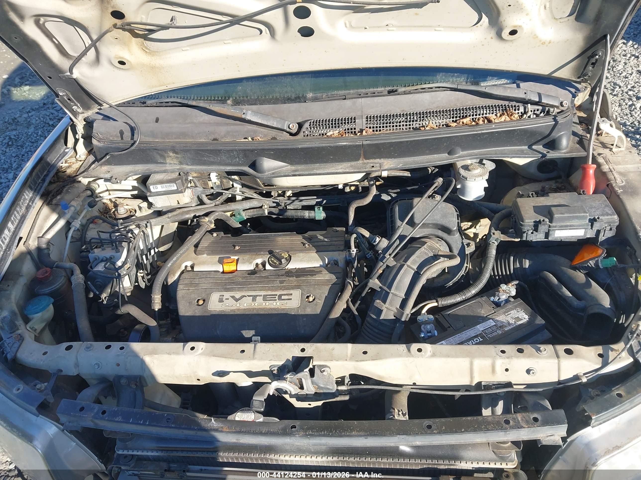 HONDA ELEMENT image 10
