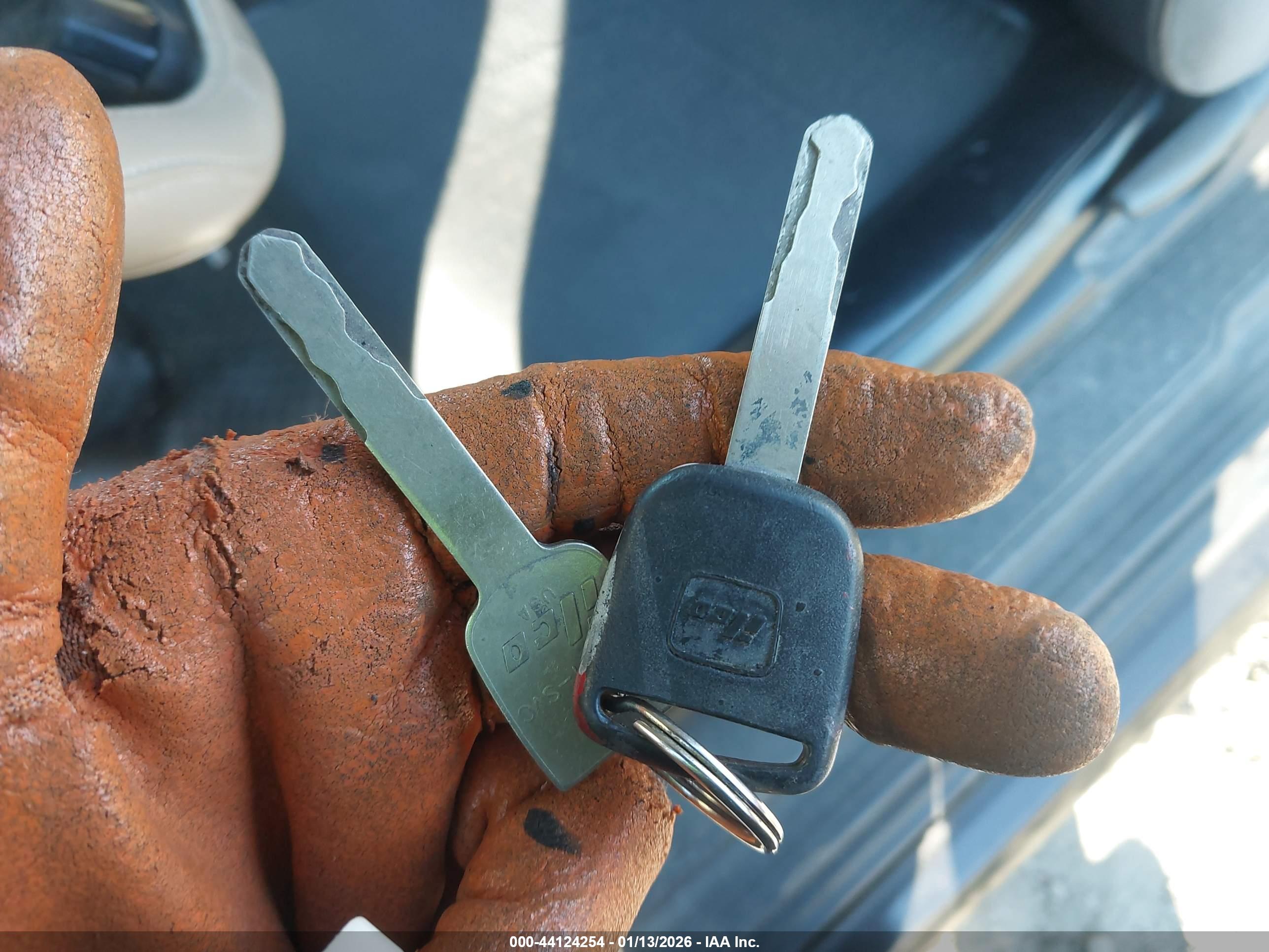 HONDA ELEMENT image 11
