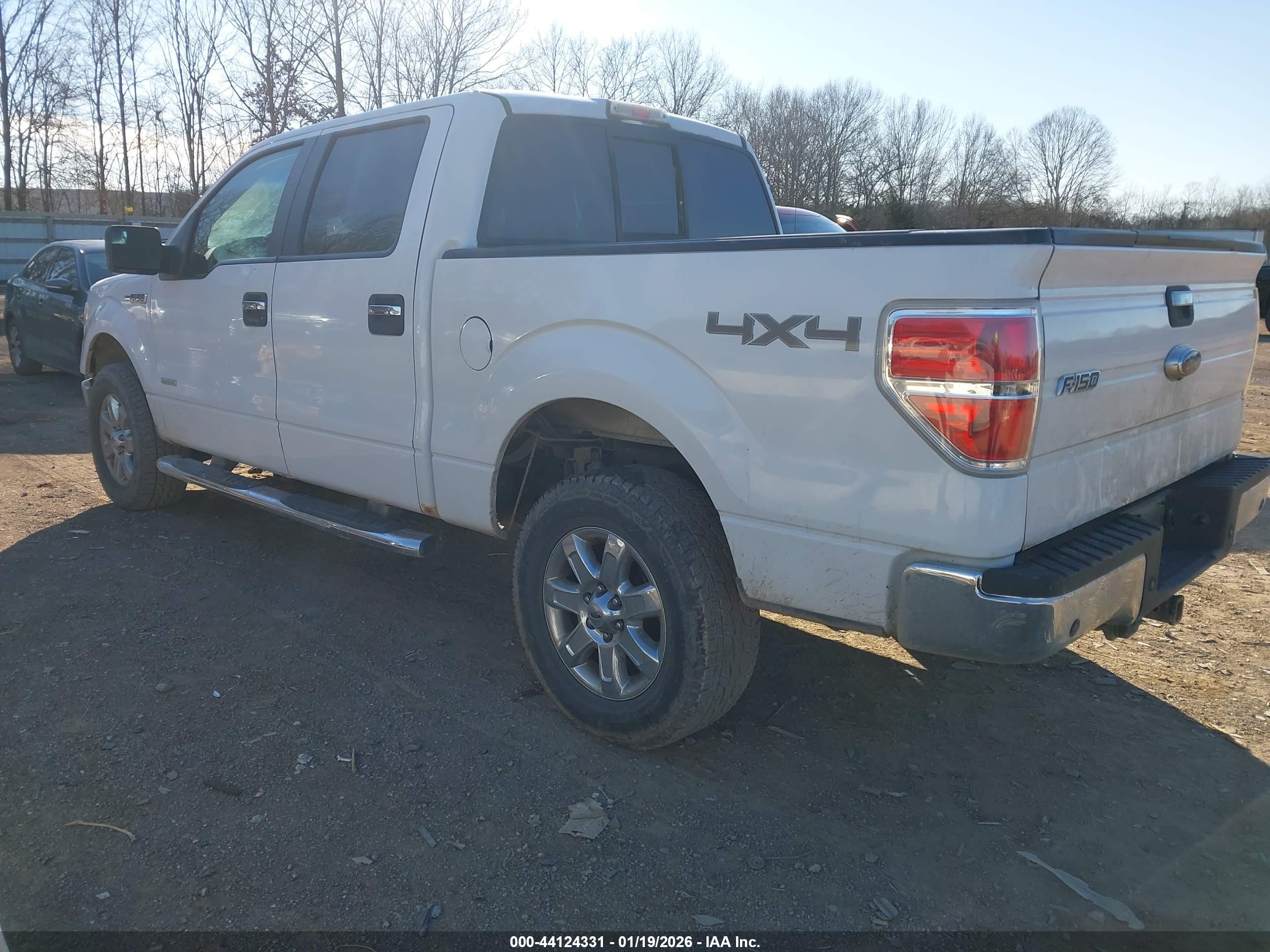 FORD F-150 image 3