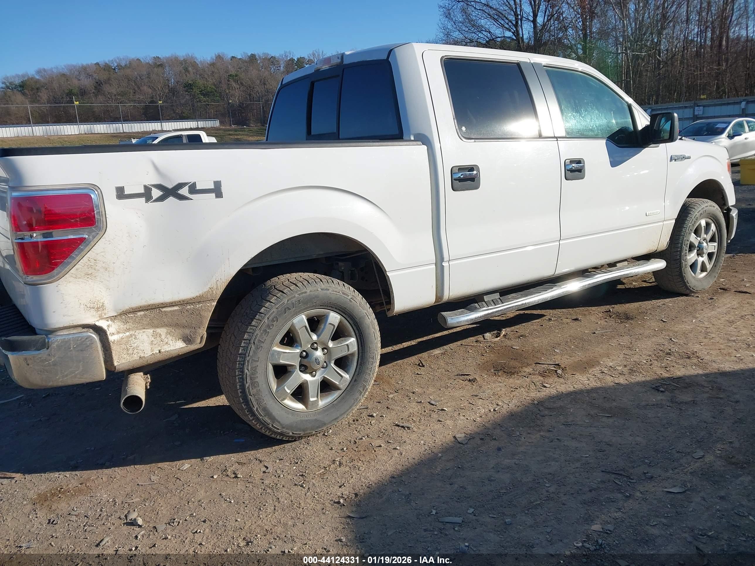 FORD F-150 image 4