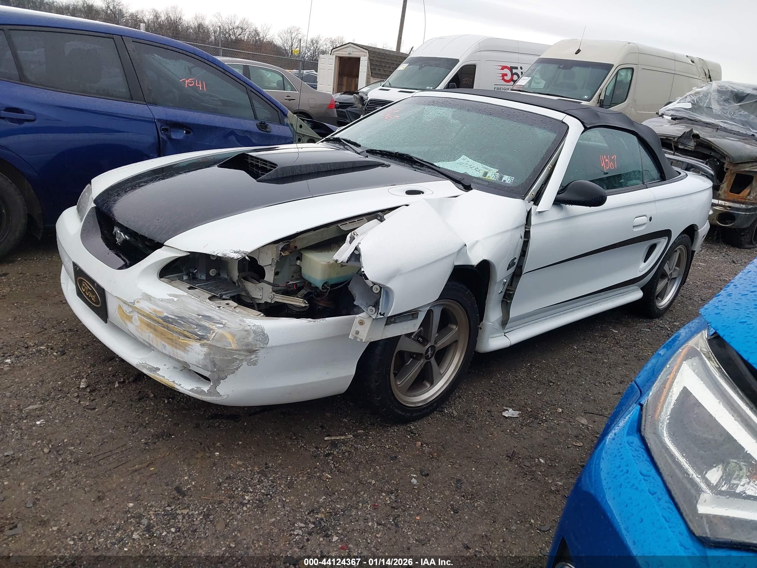 FORD MUSTANG image 2