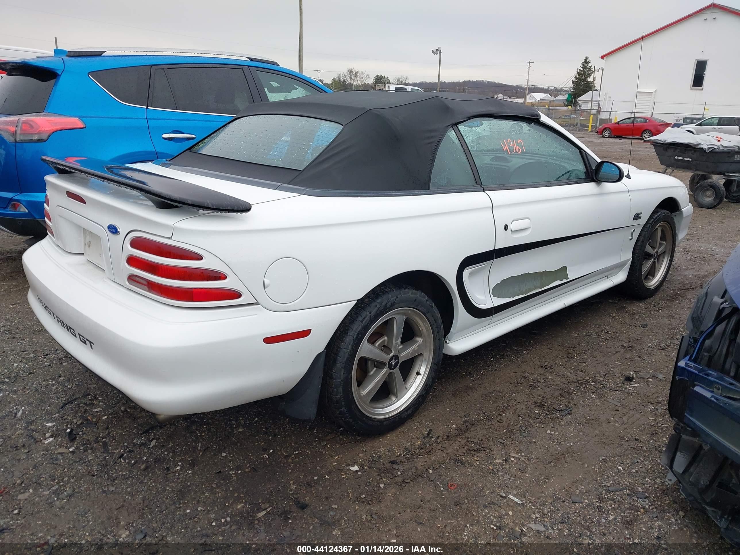 FORD MUSTANG image 4