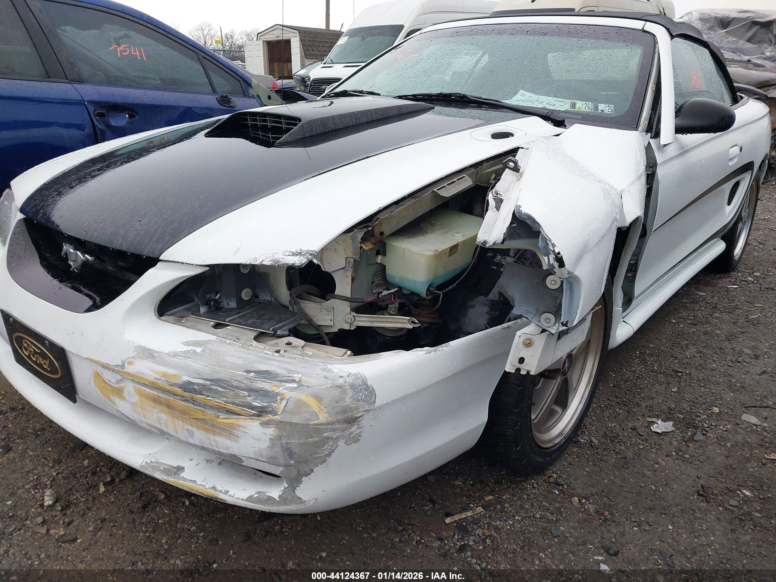 FORD MUSTANG image 6
