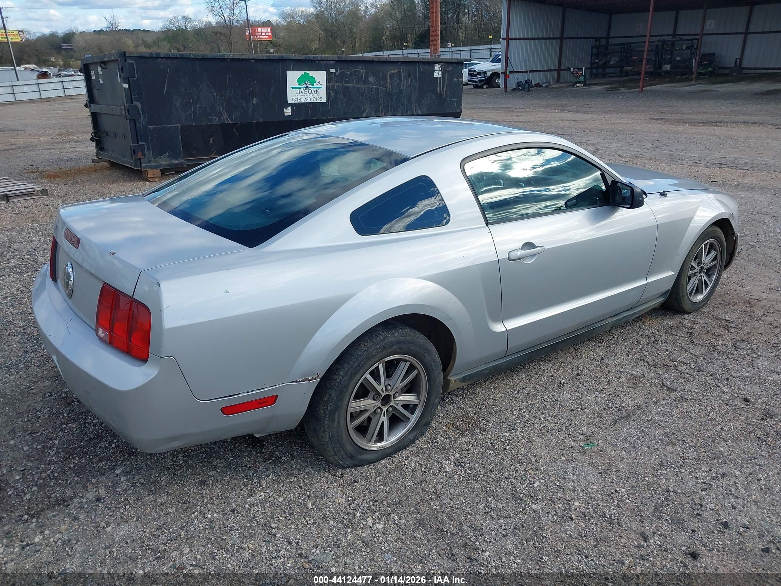 FORD MUSTANG image 4