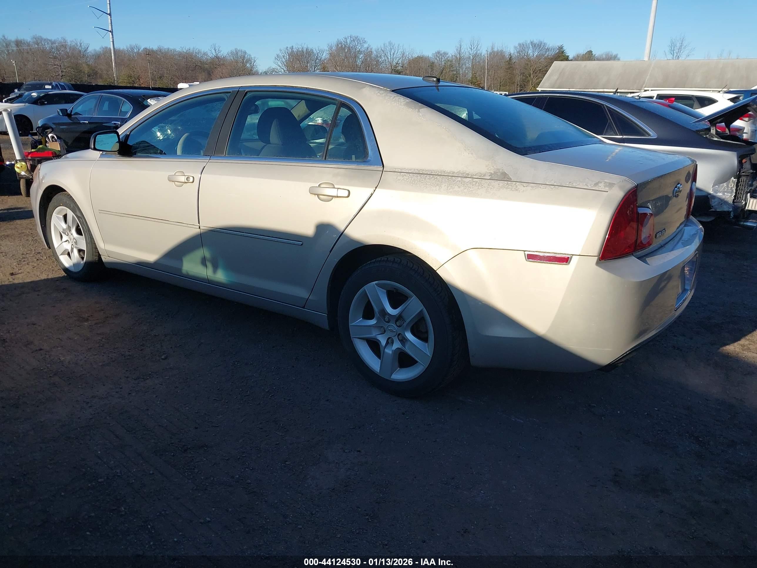 CHEVROLET MALIBU image 3