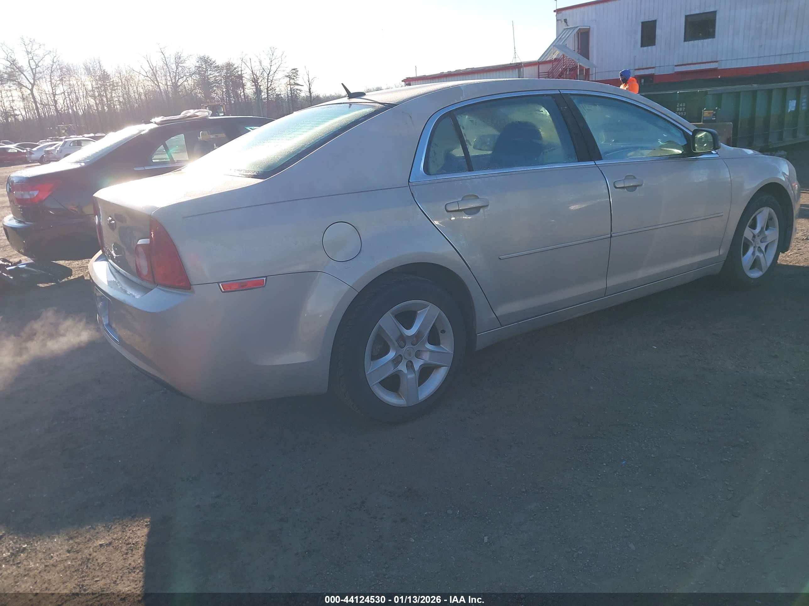 CHEVROLET MALIBU image 4