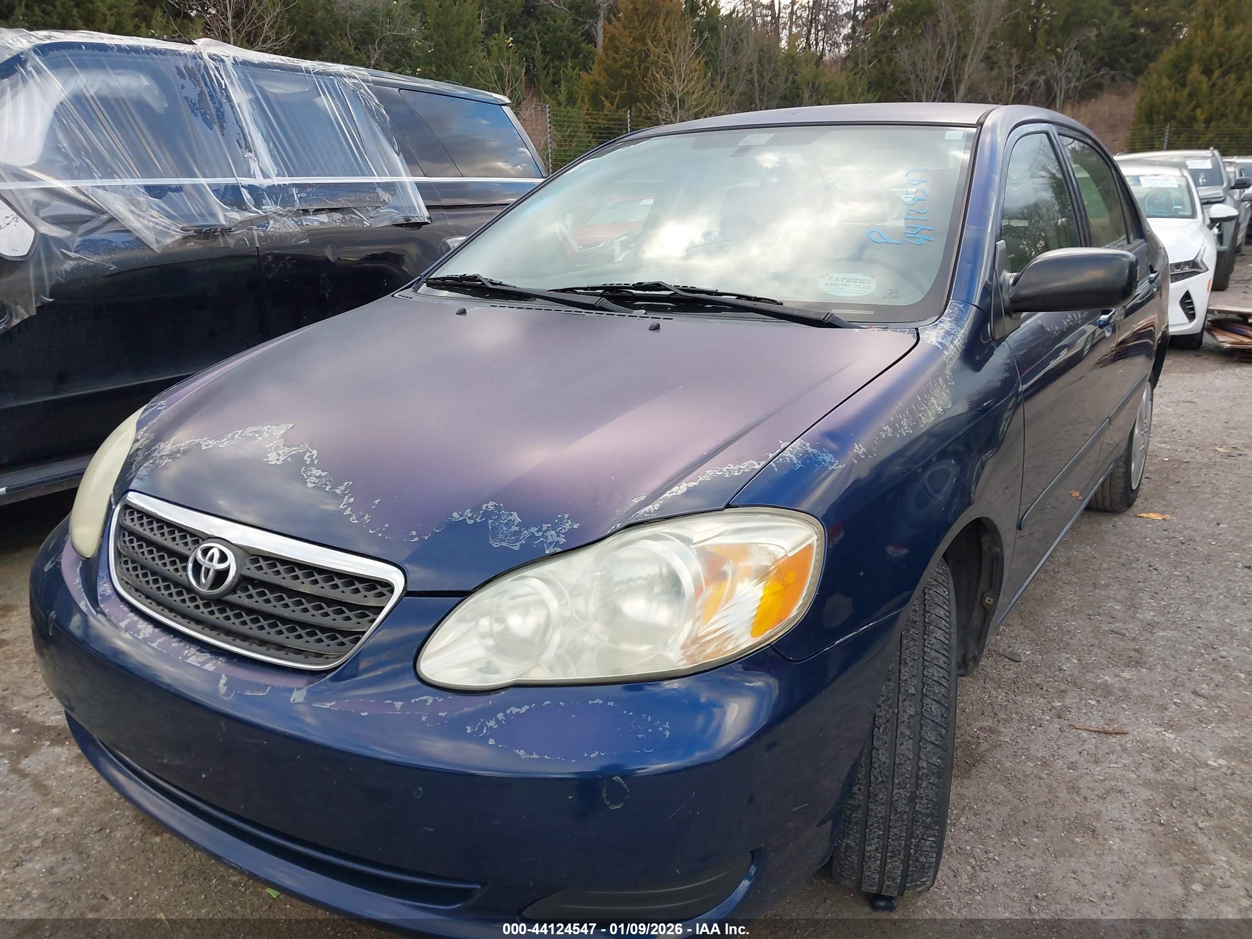 TOYOTA COROLLA image 6