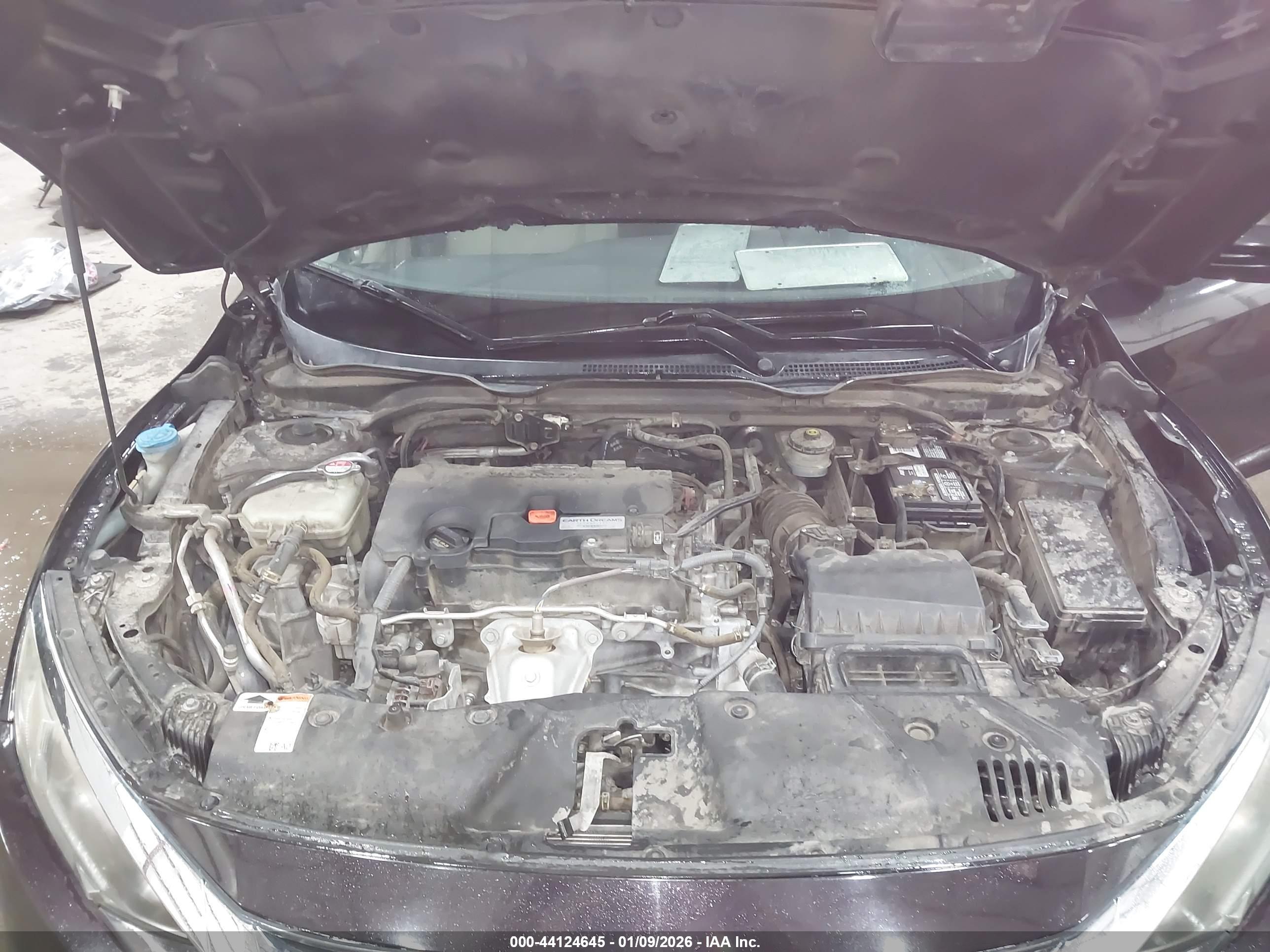 HONDA CIVIC image 10