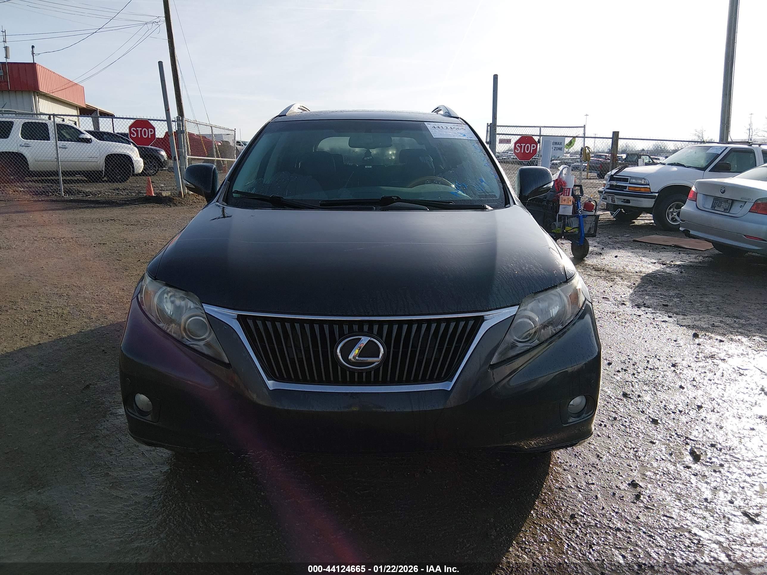 LEXUS RX image 6