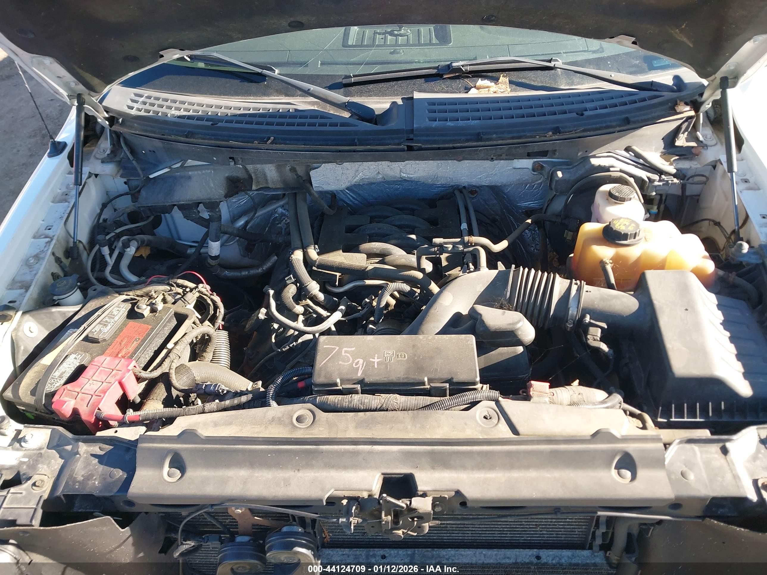 FORD F-150 image 10