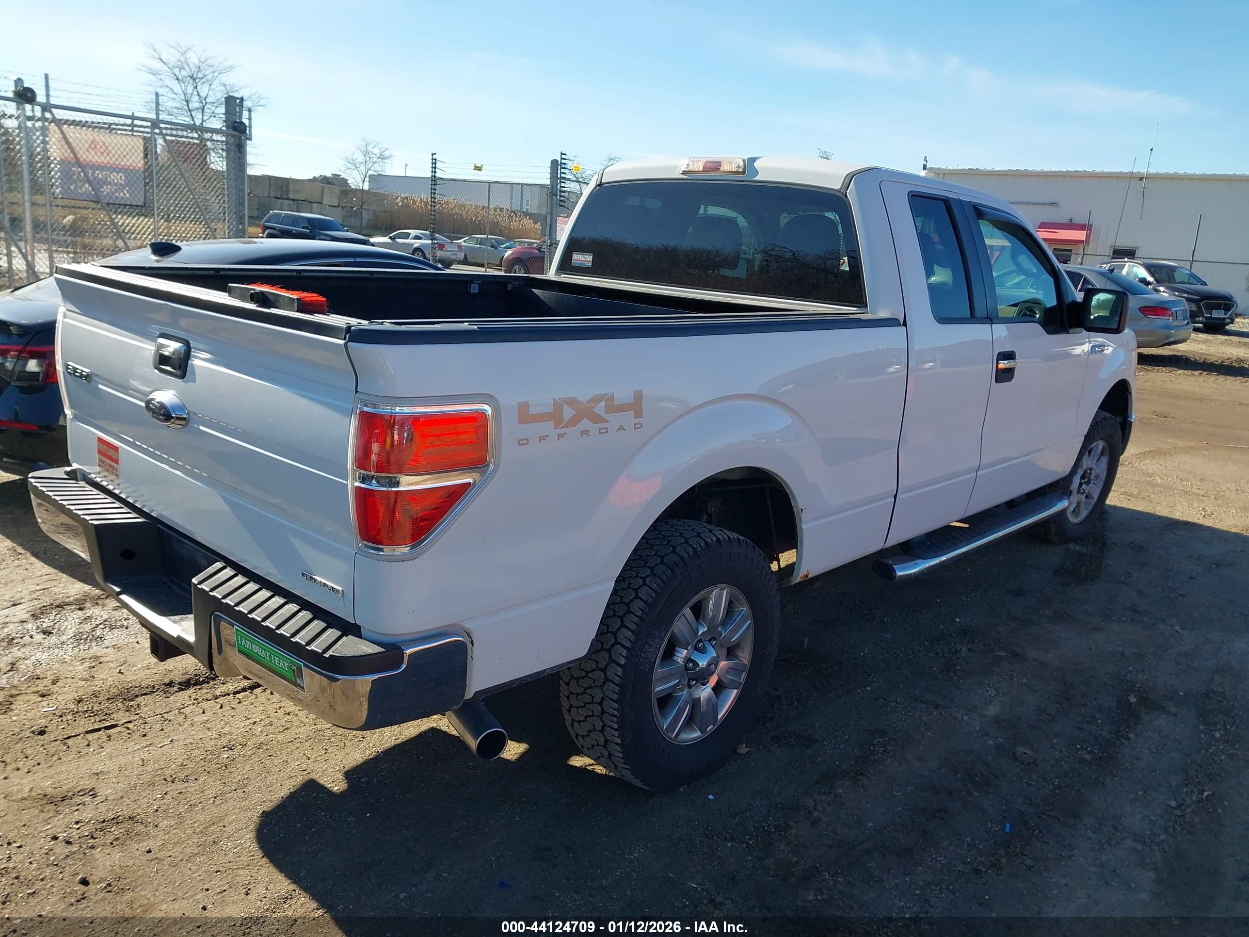 FORD F-150 image 4