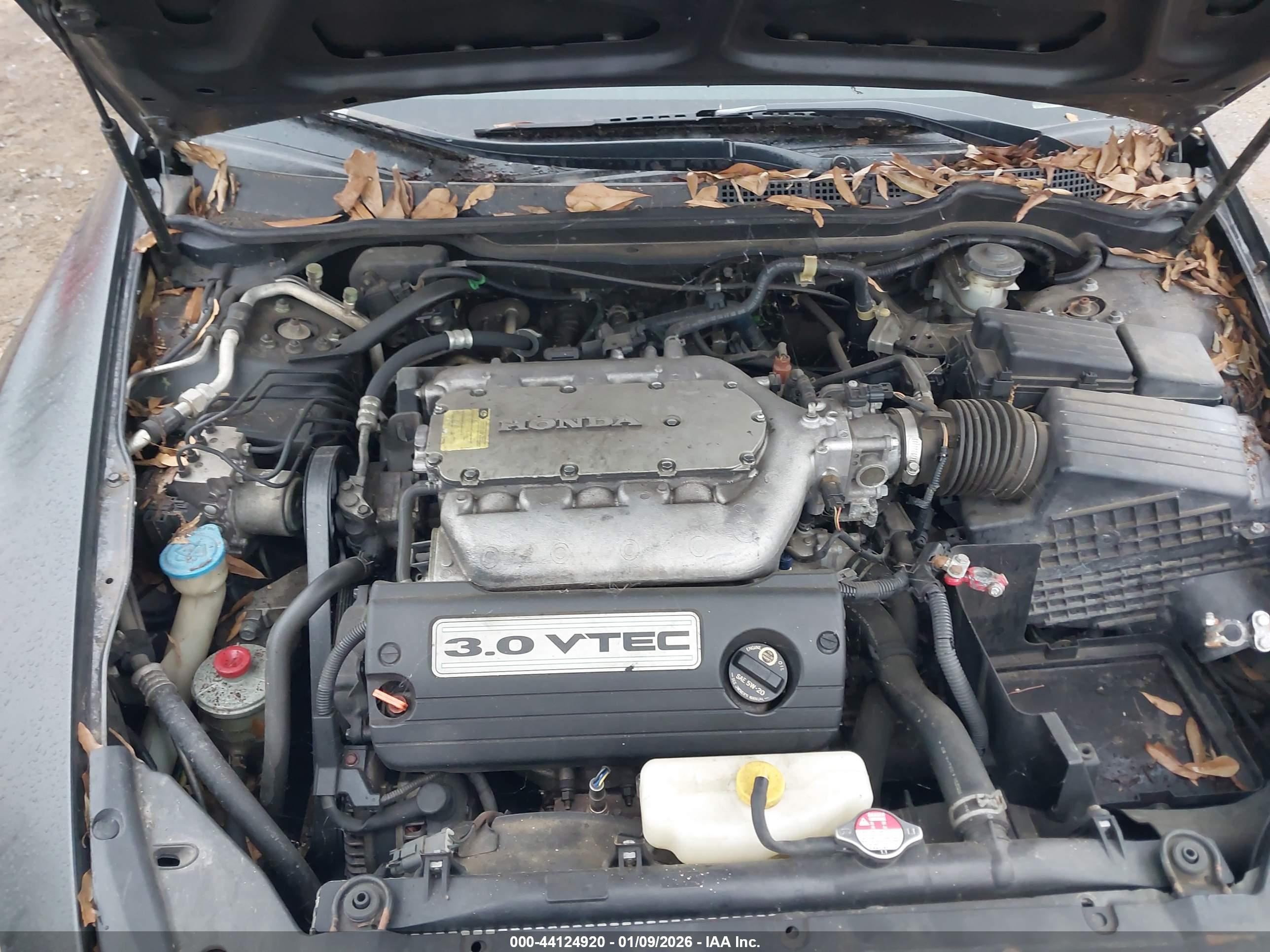 HONDA ACCORD image 10